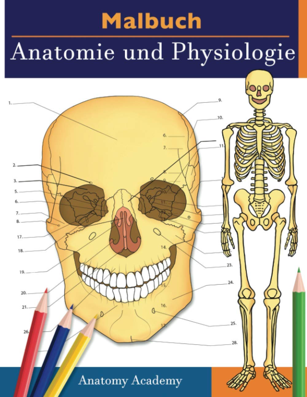 Malbuch Anatomie und Physiologie: Unglaublich detailliertes Arbeitsbuch zum Selbsttest Farbe fr das Studium Perfektes Geschenk f