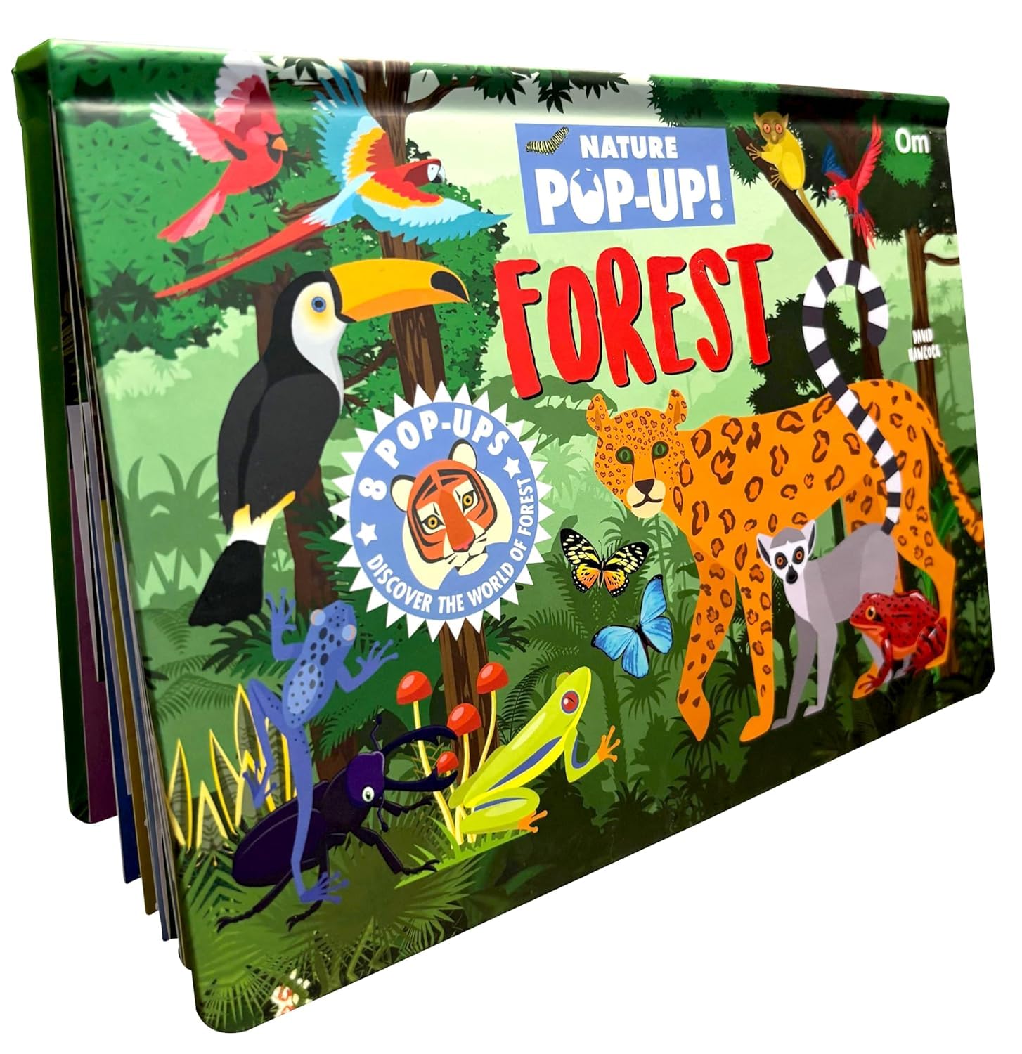 Pop Up Forest Book for Kids: Autumn, Mangroves, Rainforests & Discover the World of Forest | Journey Natures Wonders | Interacti