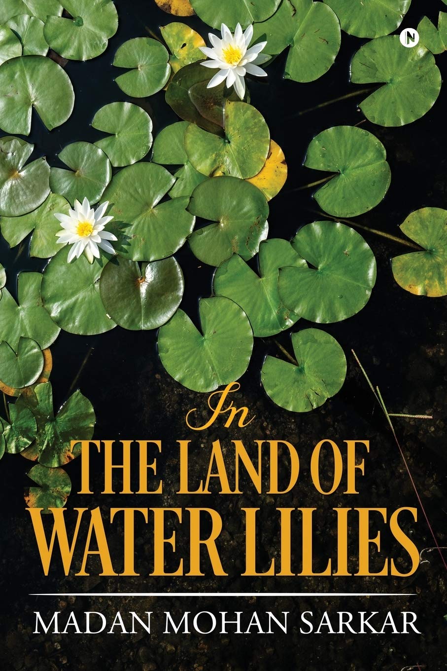 In The Land Of Water Lilies