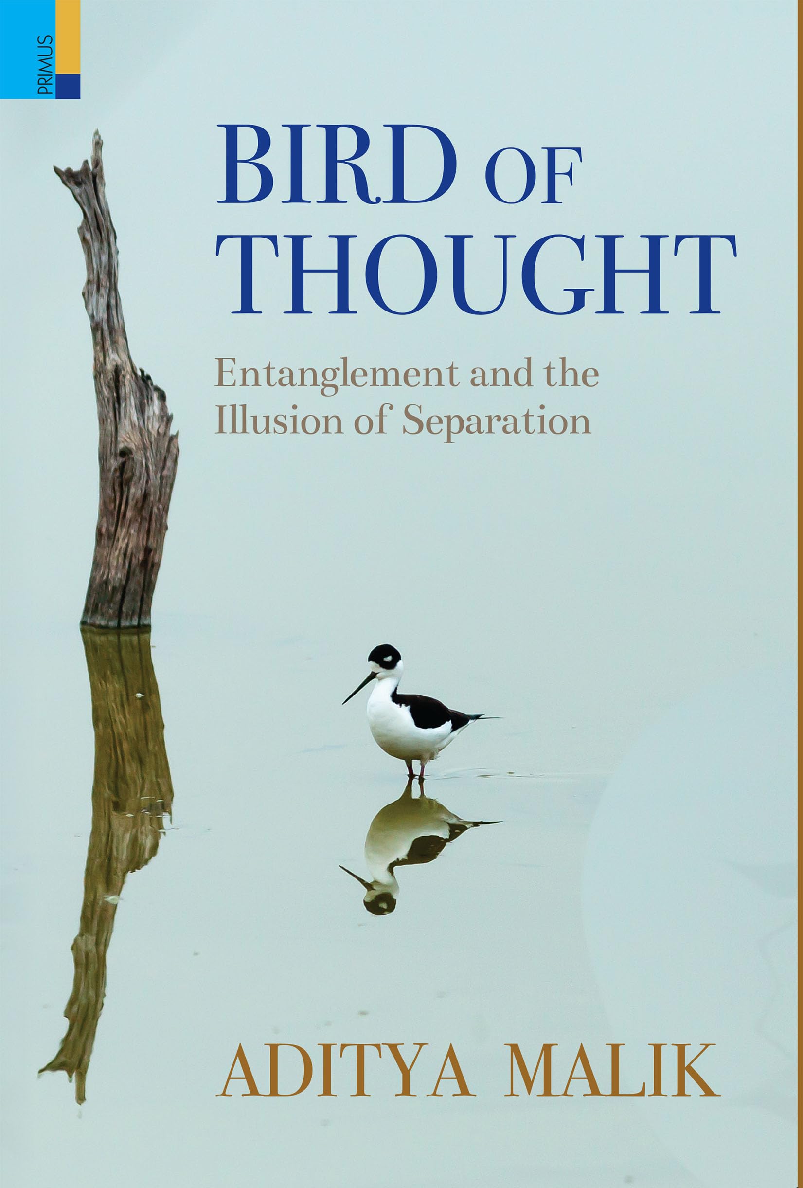 Primus Books Bird of Thought: Entanglement and the Illusion of Separation