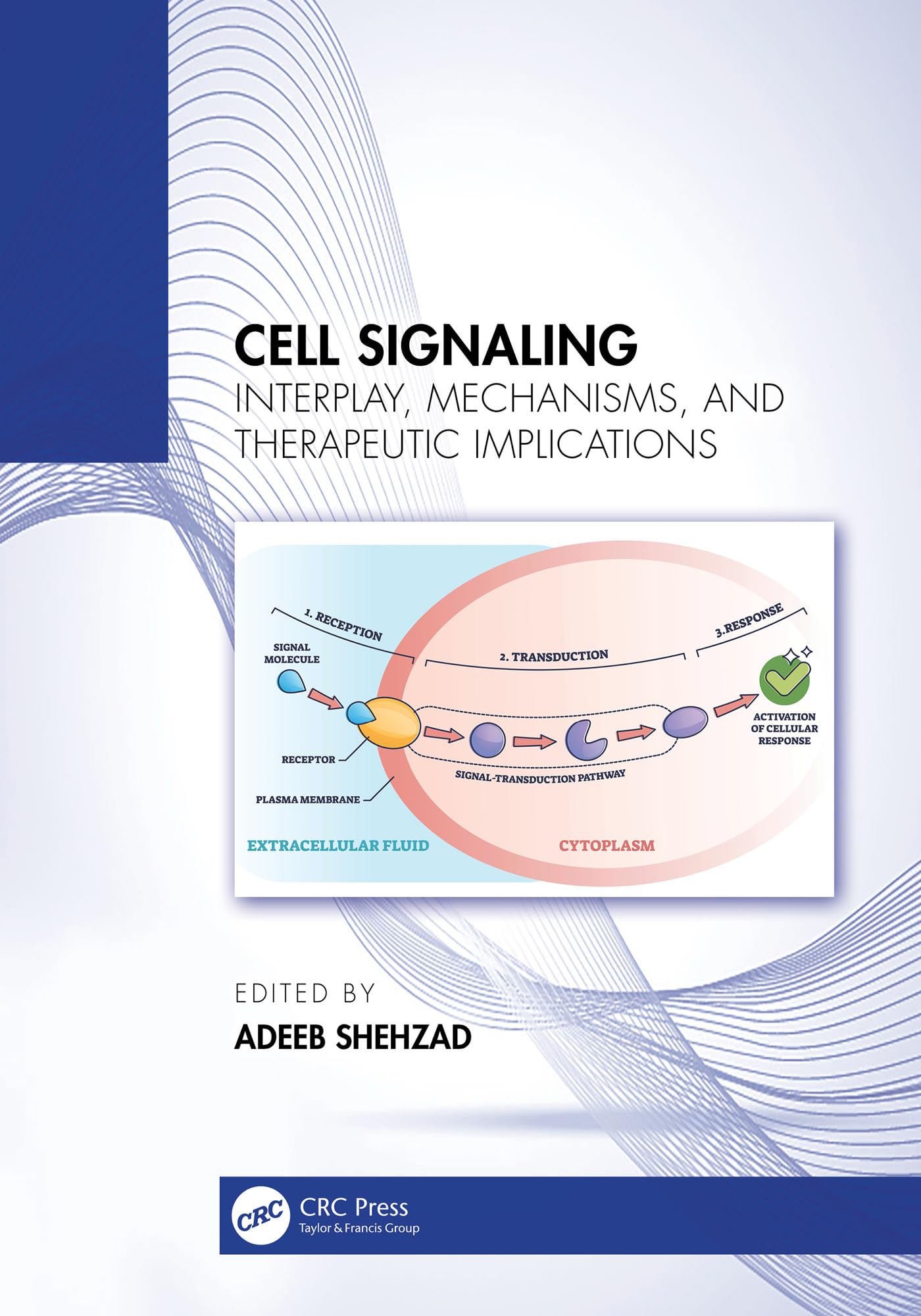 Cell Signaling Interplay Mechanisms And Therapeutic Implications (Hb 2025)