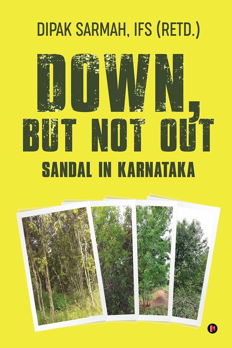 Down, but Not Out  Sandal in Karnataka