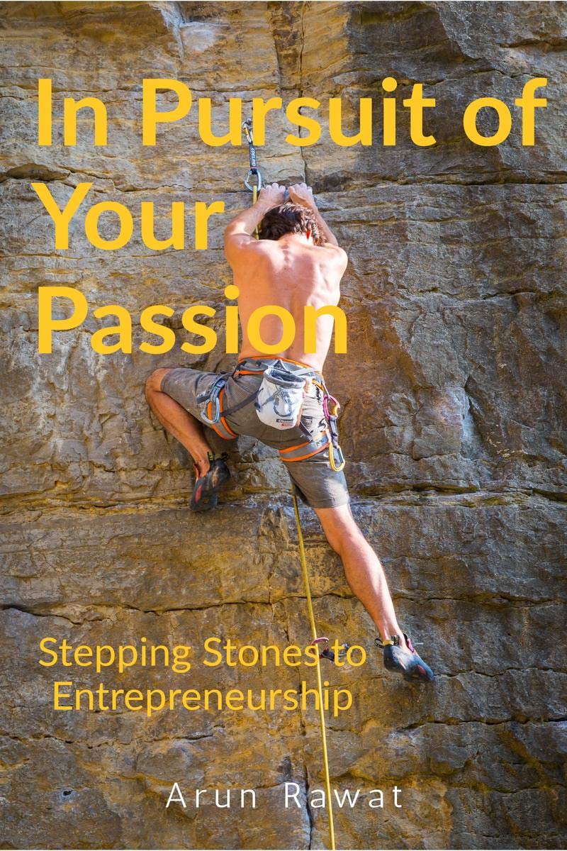 In Pursuit Of Your Passion : Stepping Stones To Entrepreneurship