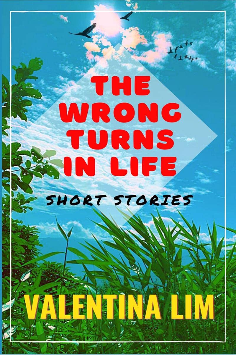 The Wrong Turns in Life: Short Stories