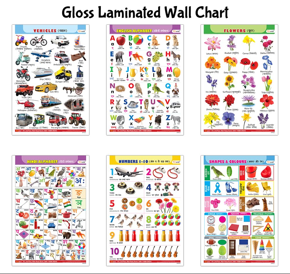 Alphabet, Numbers, Hindi Varnmala, Shapes & Colours, Flowers and Vehicles Gloss Laminated charts : Early learning charts for ki