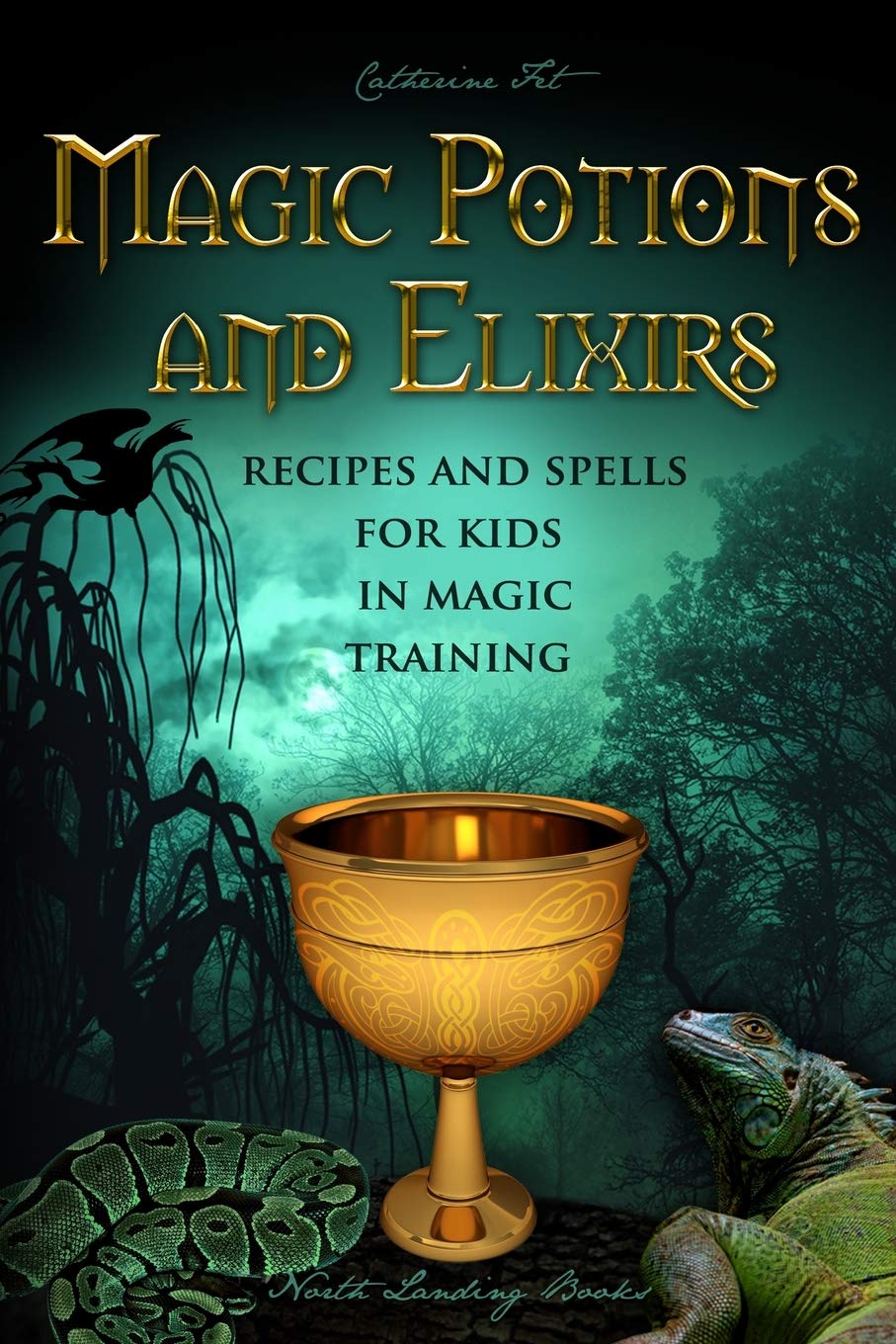 Magic Potions and Elixirs  Recipes and Spells for Kids in Magic Training