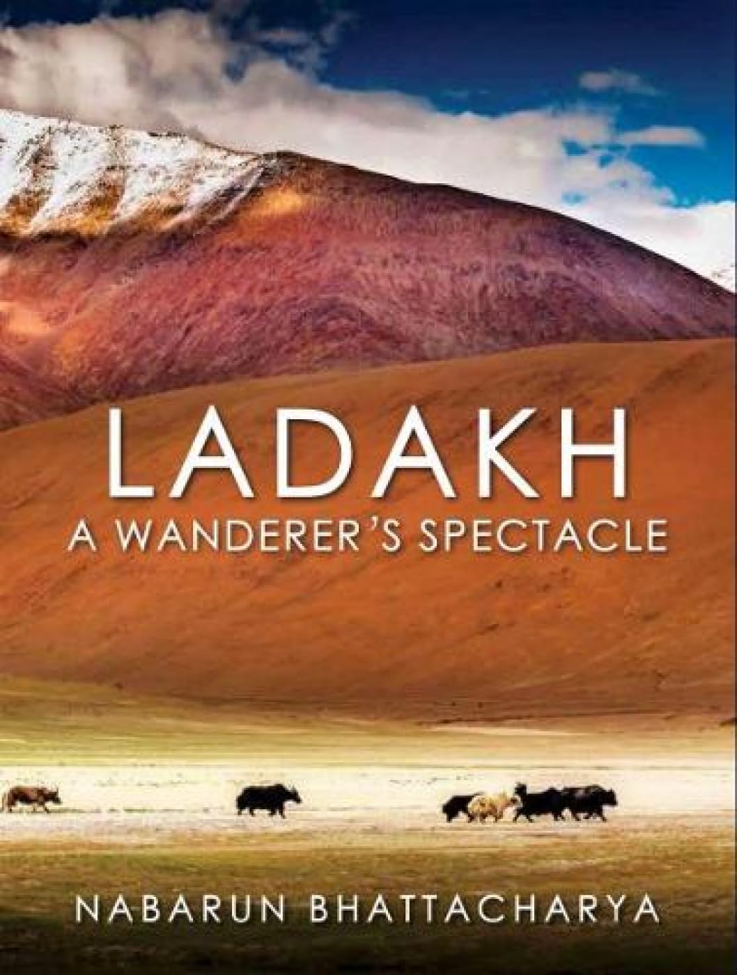 Ladakh: A WandererS Spectacle