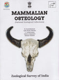 MAMMALIAN OSTEOLOGY (National Zoological Collections)