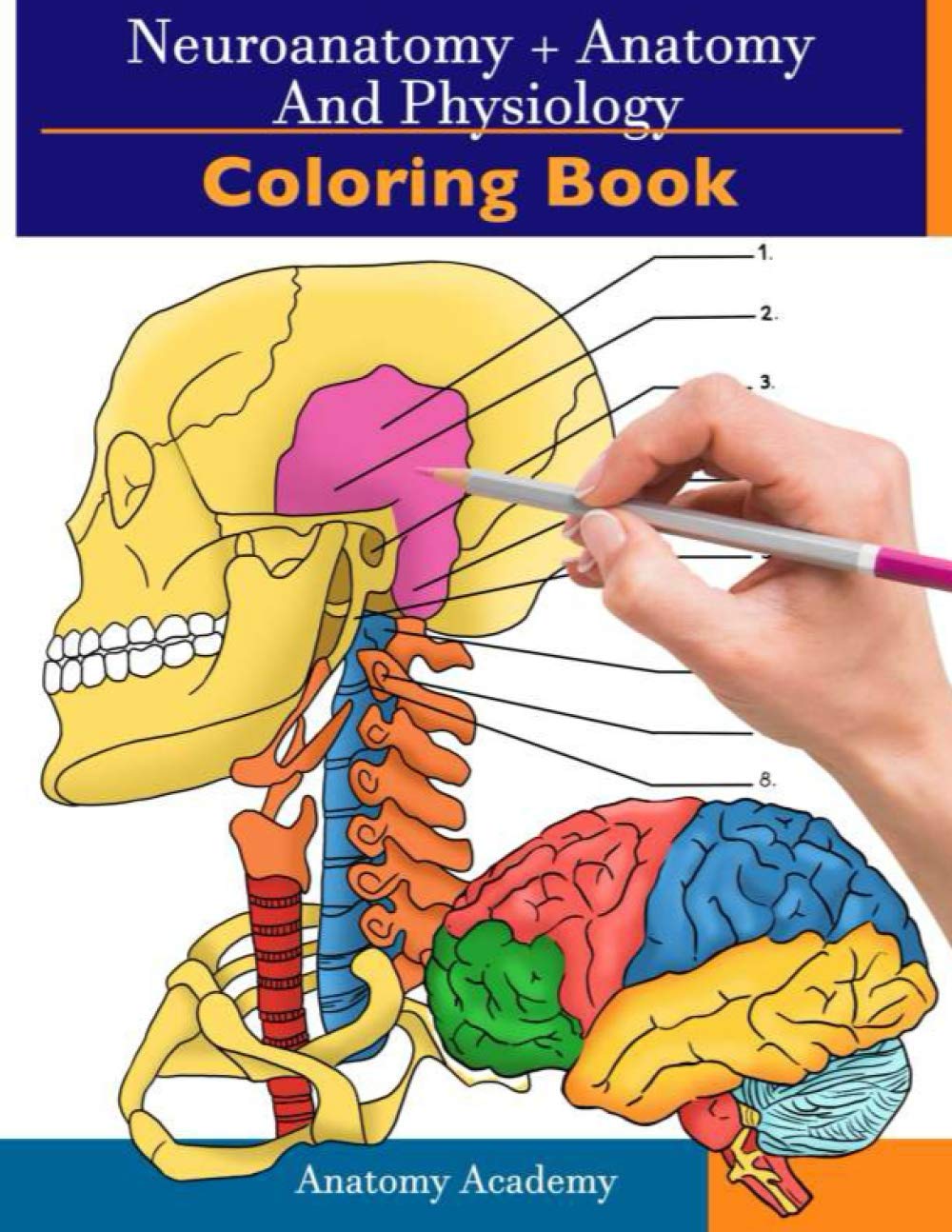 Neuroanatomy + Anatomy and Physiology Coloring Book: 2in1 Collection Set  Incredibly Detailed SelfTest Color workbook for Stu