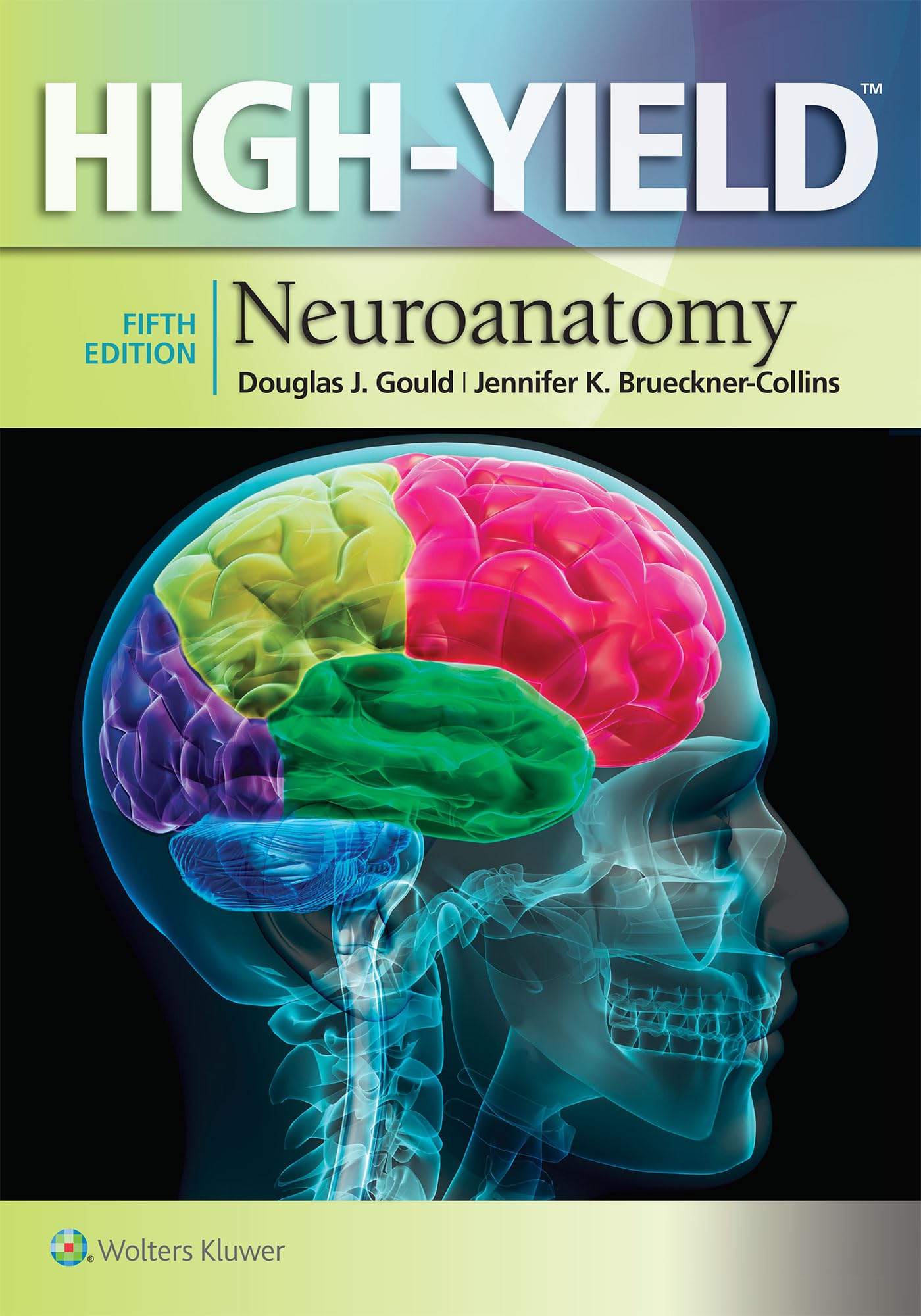 HighYield Neuroanatomy (HighYield Series)