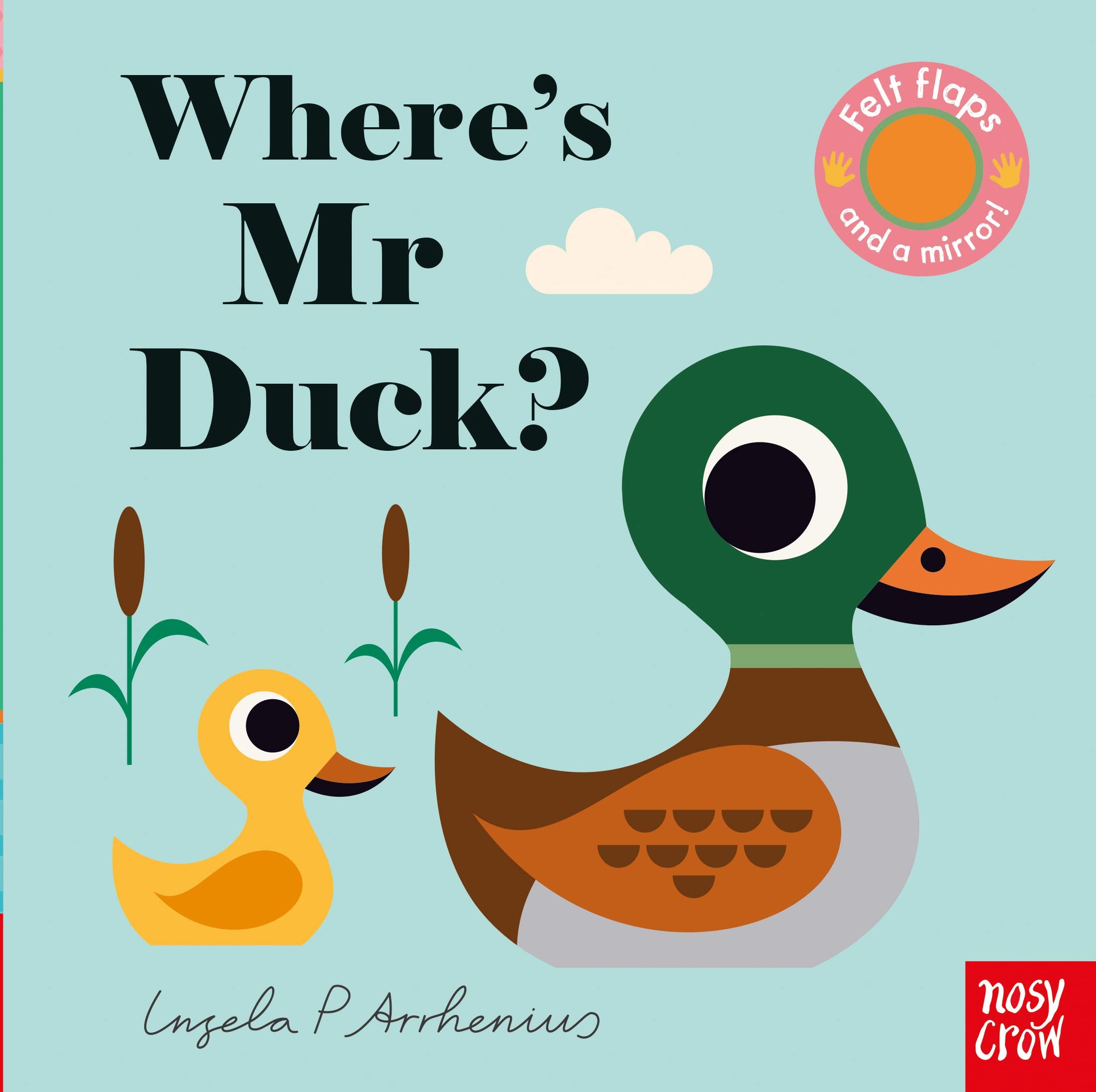 Wheres Mr Duck? (Felt Flaps)