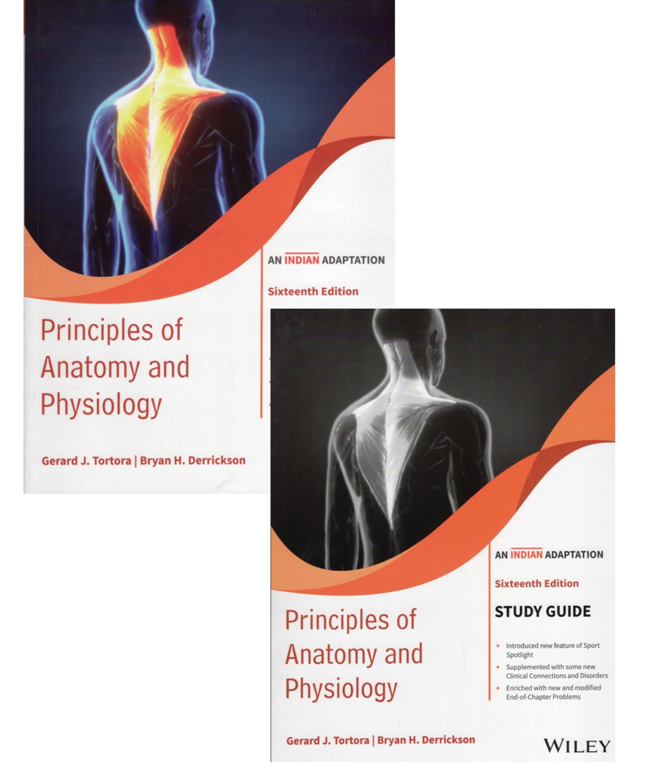 Principles of Anatomy and Physiology with Study Guide An Indian Adaptation 16th Edition