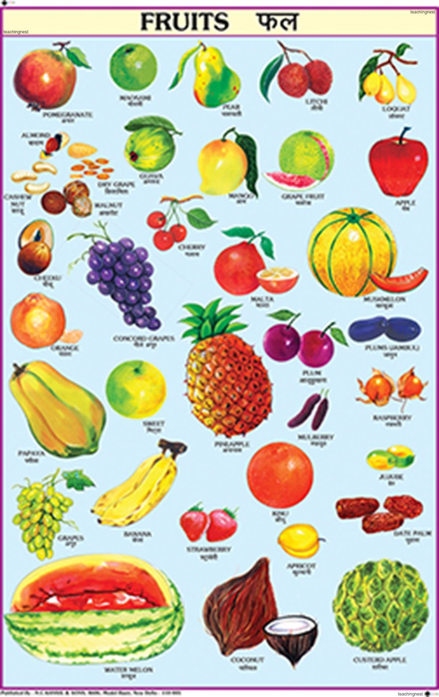 Cc06 | Teachingnest | Fruits Chart (50X75Cm) | Charts For Children | With Rollers | English  Hindi Combined [Wall Chart]