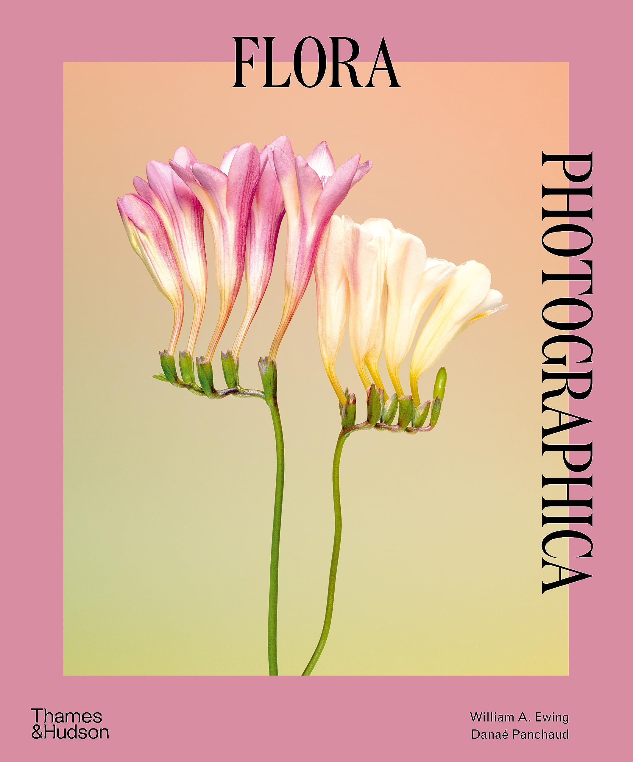Flora Photographica