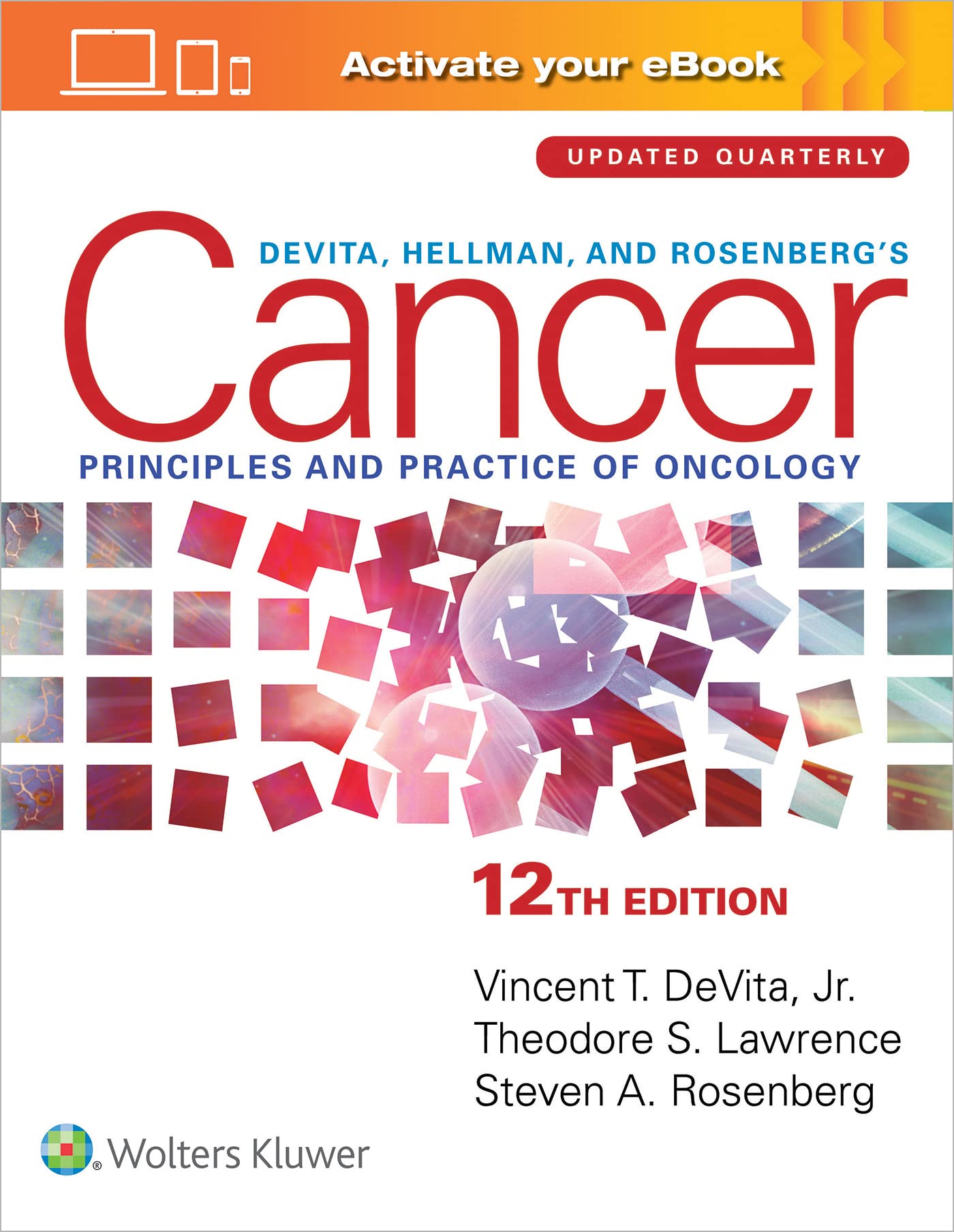 DeVita, Hellman, and Rosenbergs Cancer: Principles & Practice of Oncology: Print  eBook with Multimedia (Cancer Principles and 