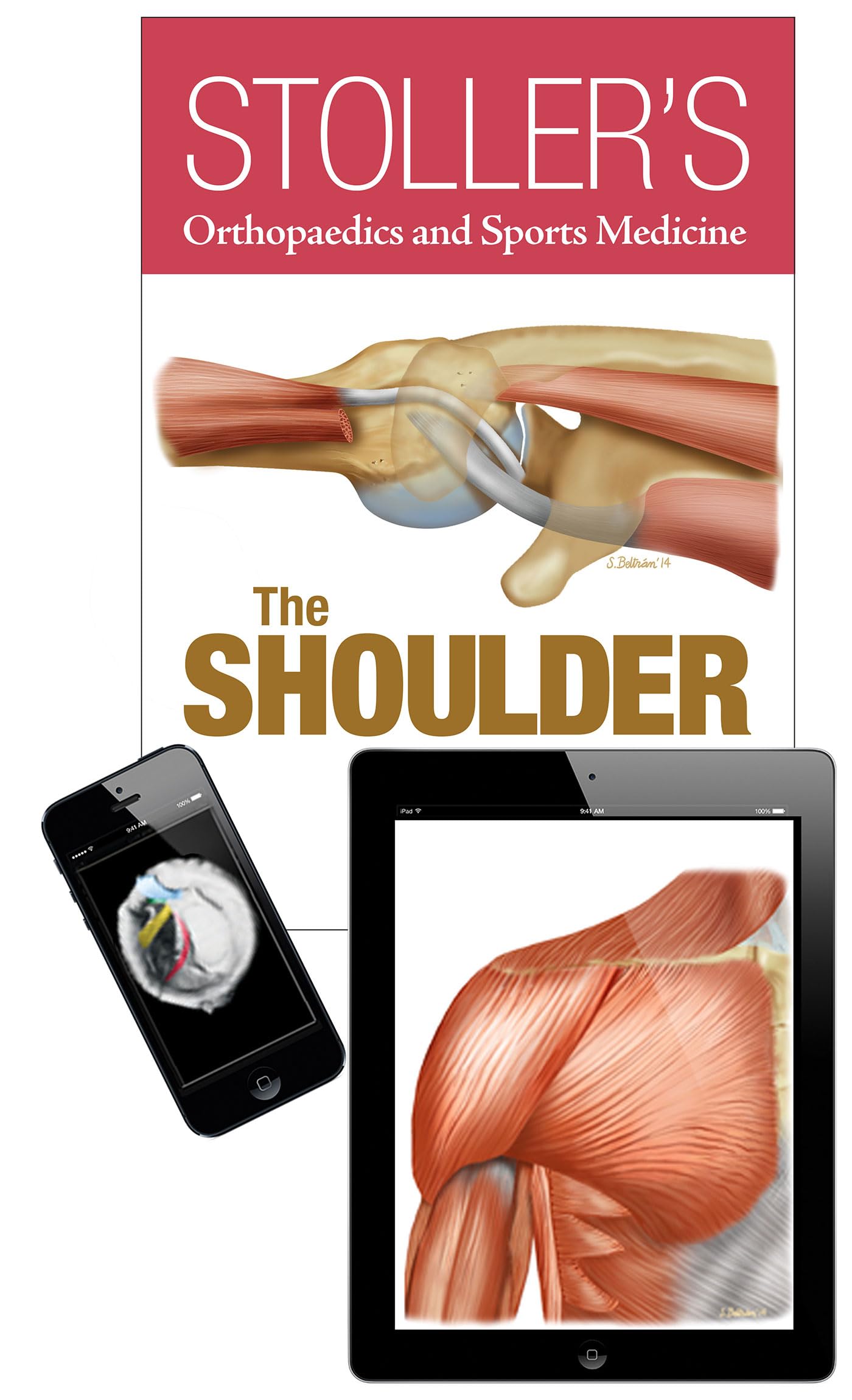 Stollers Orthopaedics and Sports Medicine: The Shoulder Package