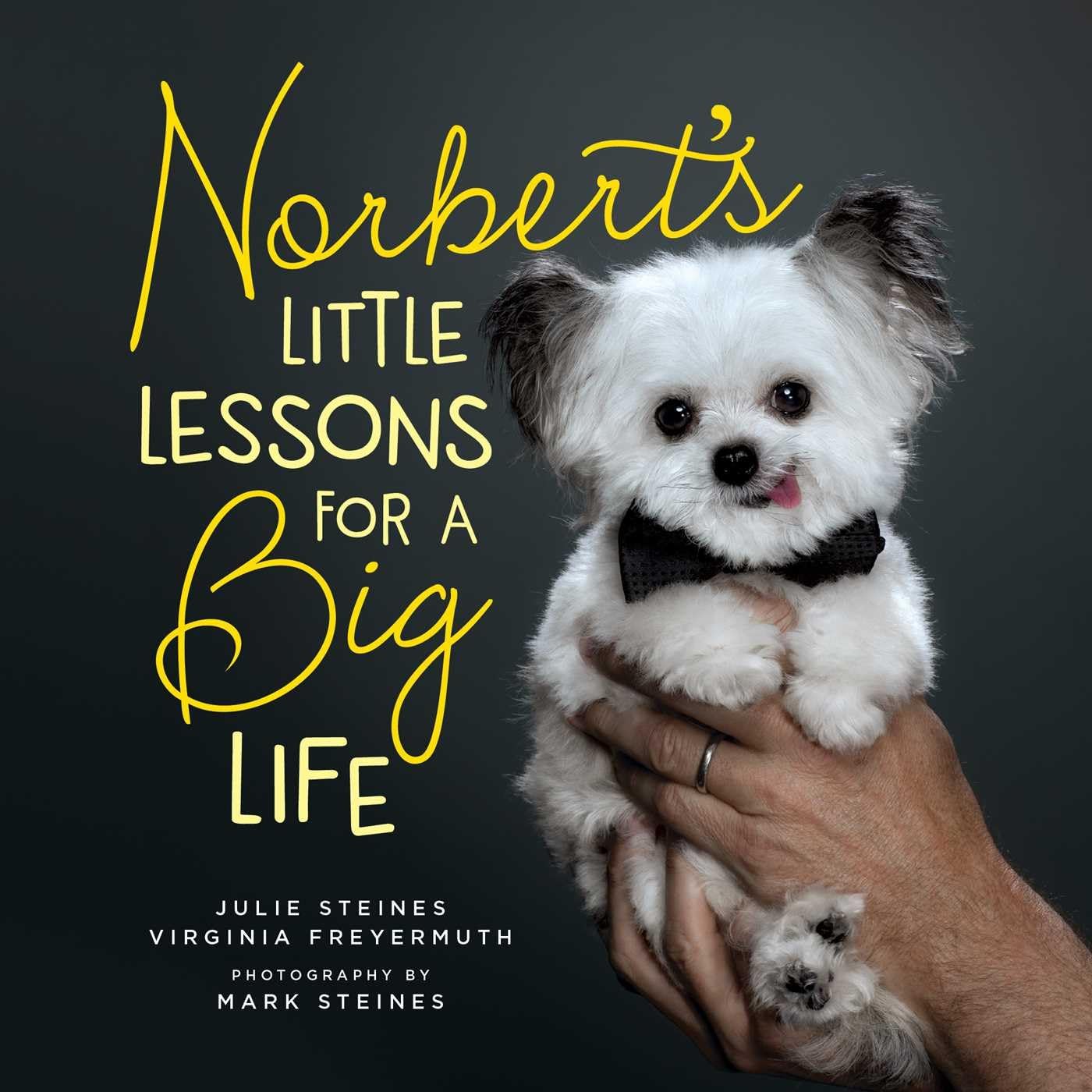 Norberts Little Lessons for a Big Life