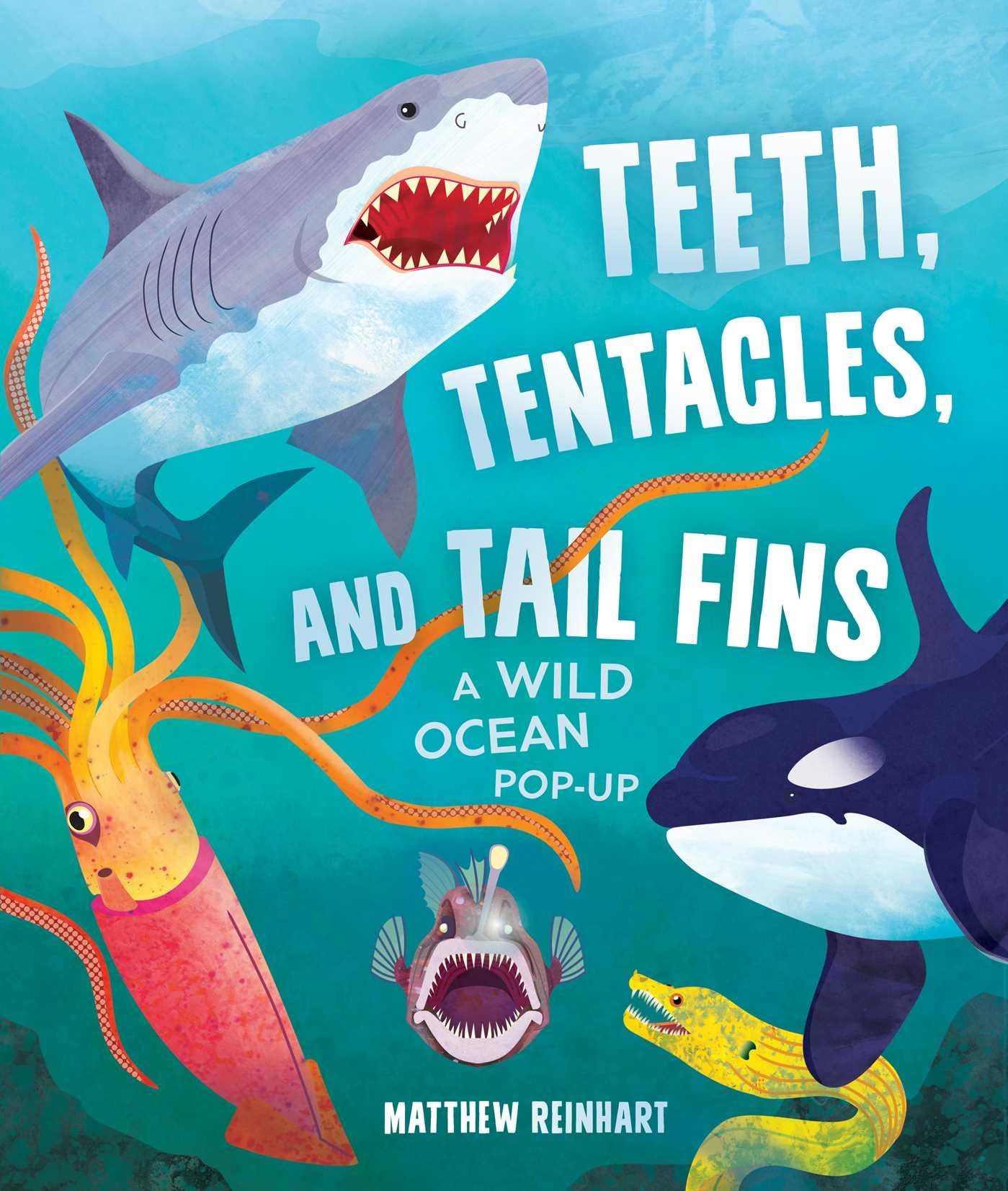 Teeth, Tentacles, and Tail Fins (Reinhart PopUp Studio): A Wild Ocean PopUp (Reinhart Studios) (Ocean Book for Kids, Shark Boo