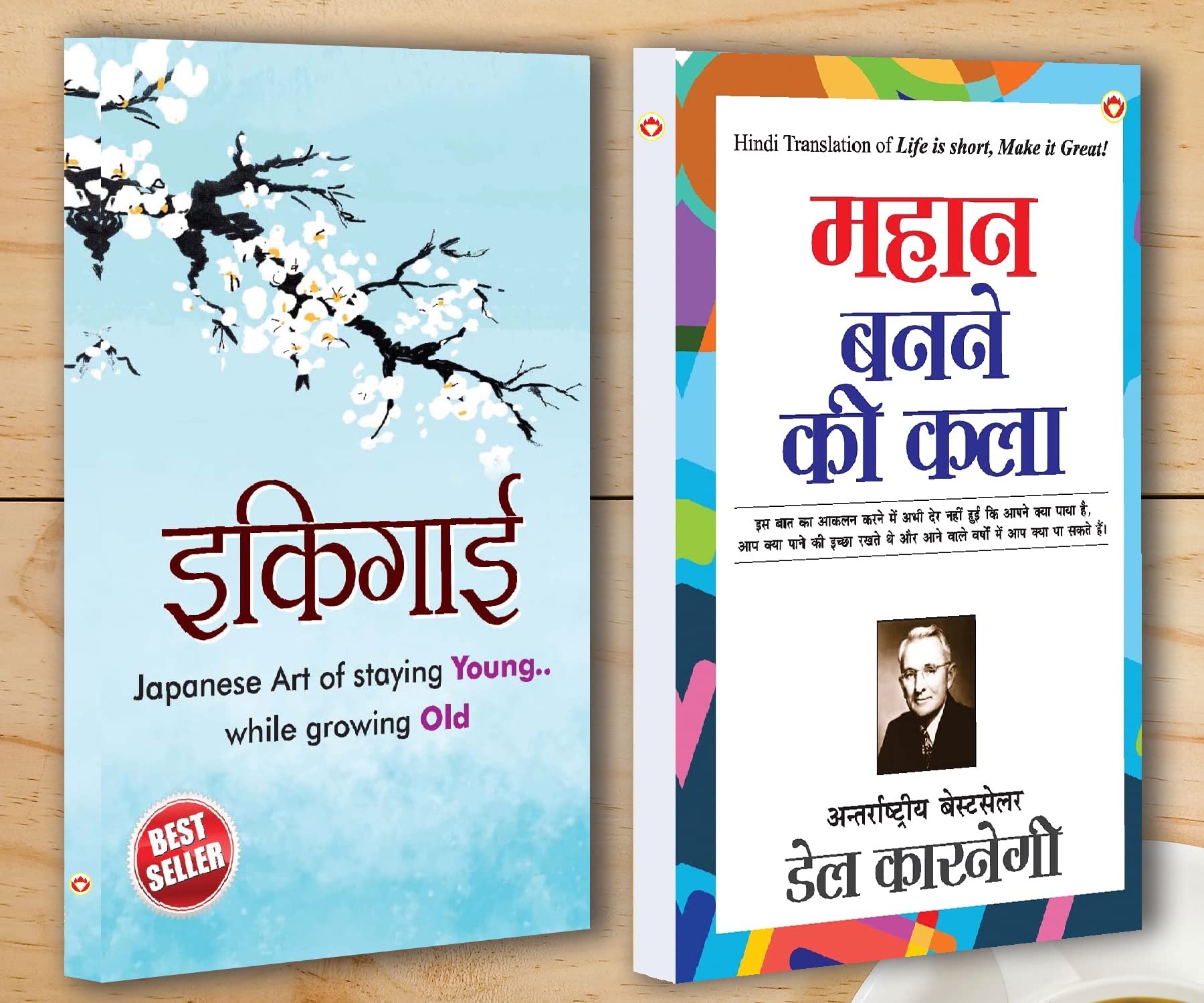 Best Motivational Books in Hindi  Ikigai () + Mahan Banne Ki Kala (   )