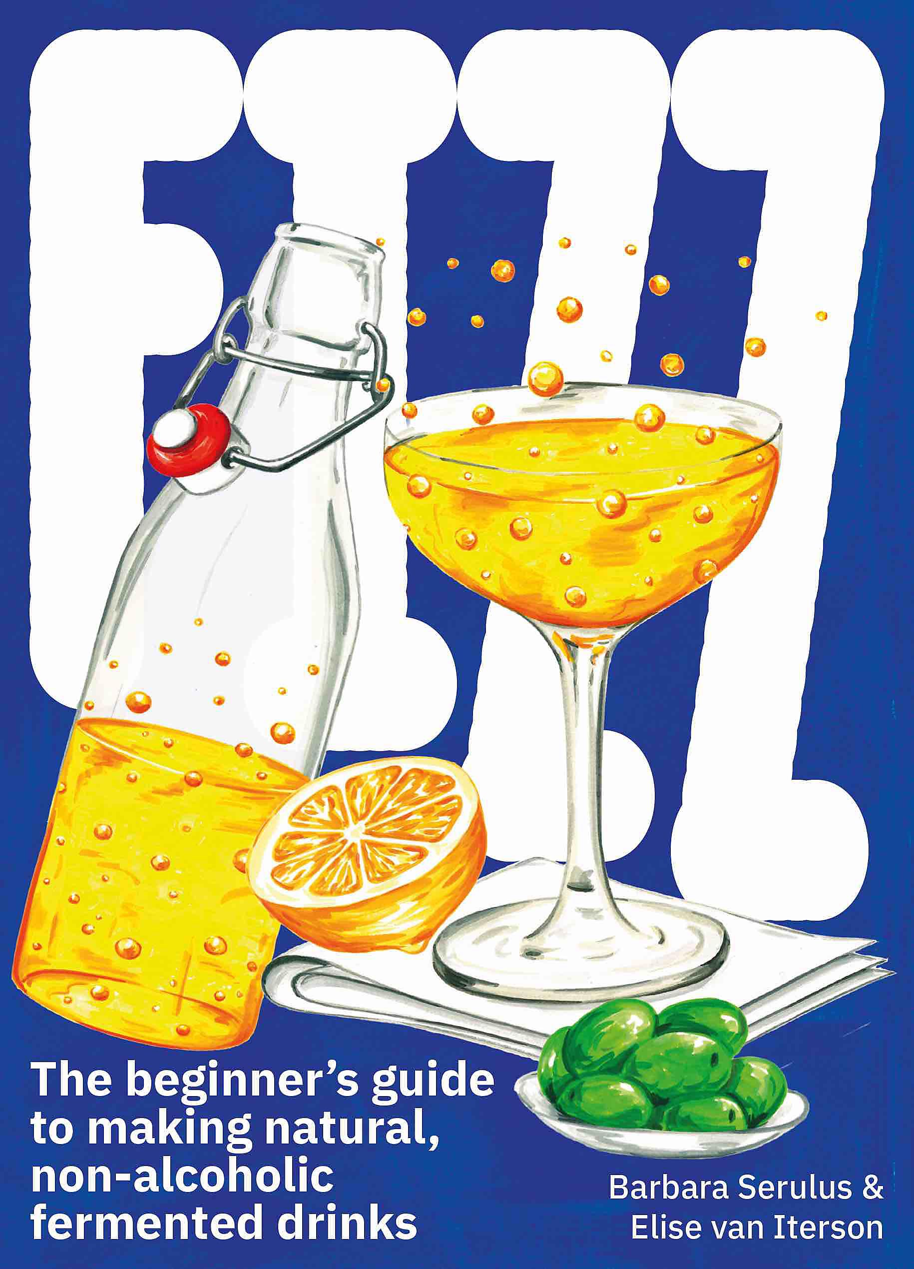 FIZZ: A Beginners Guide to Making Natural, NonAlcoholic Fermented Drinks