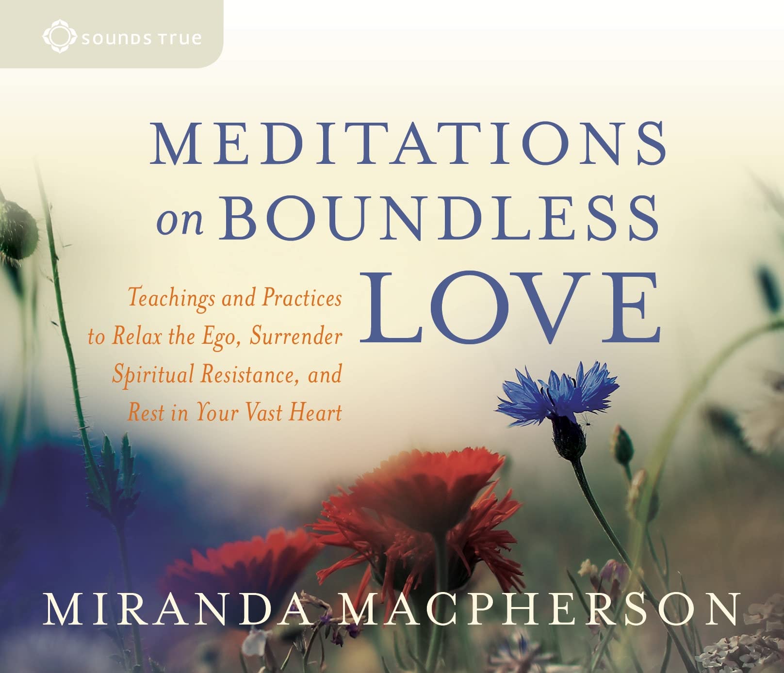Meditations on Boundless Love: Teachings and Practices to Relax the Ego, Surrender Spiritual Resistance, and Rest in Your Vast H