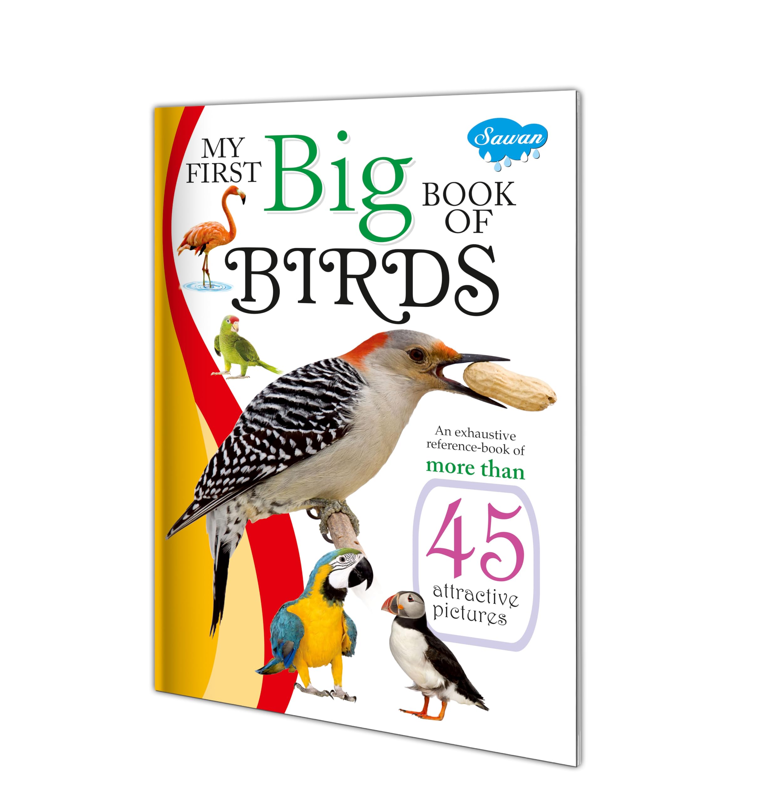 My First Learning Big Book Of Birds | Educational Book By Sawan