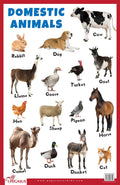 Domestic Animals  Thick Laminated Primary Chart