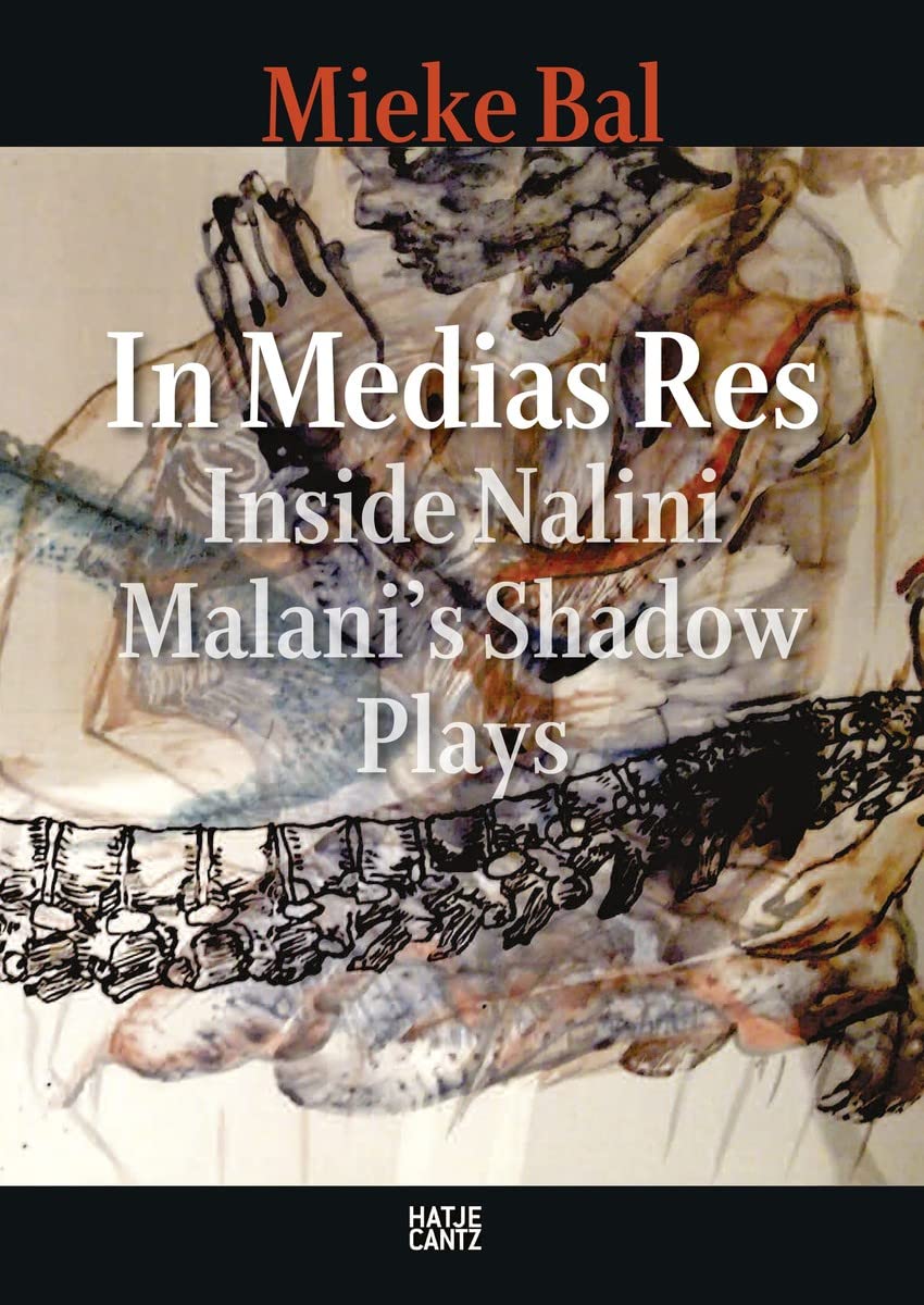 Nalini Malani: In Medias Res: Inside Nalini Malanis Shadow Plays