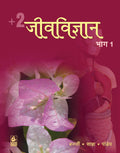 +2 Jeevvigyan Bhag 1