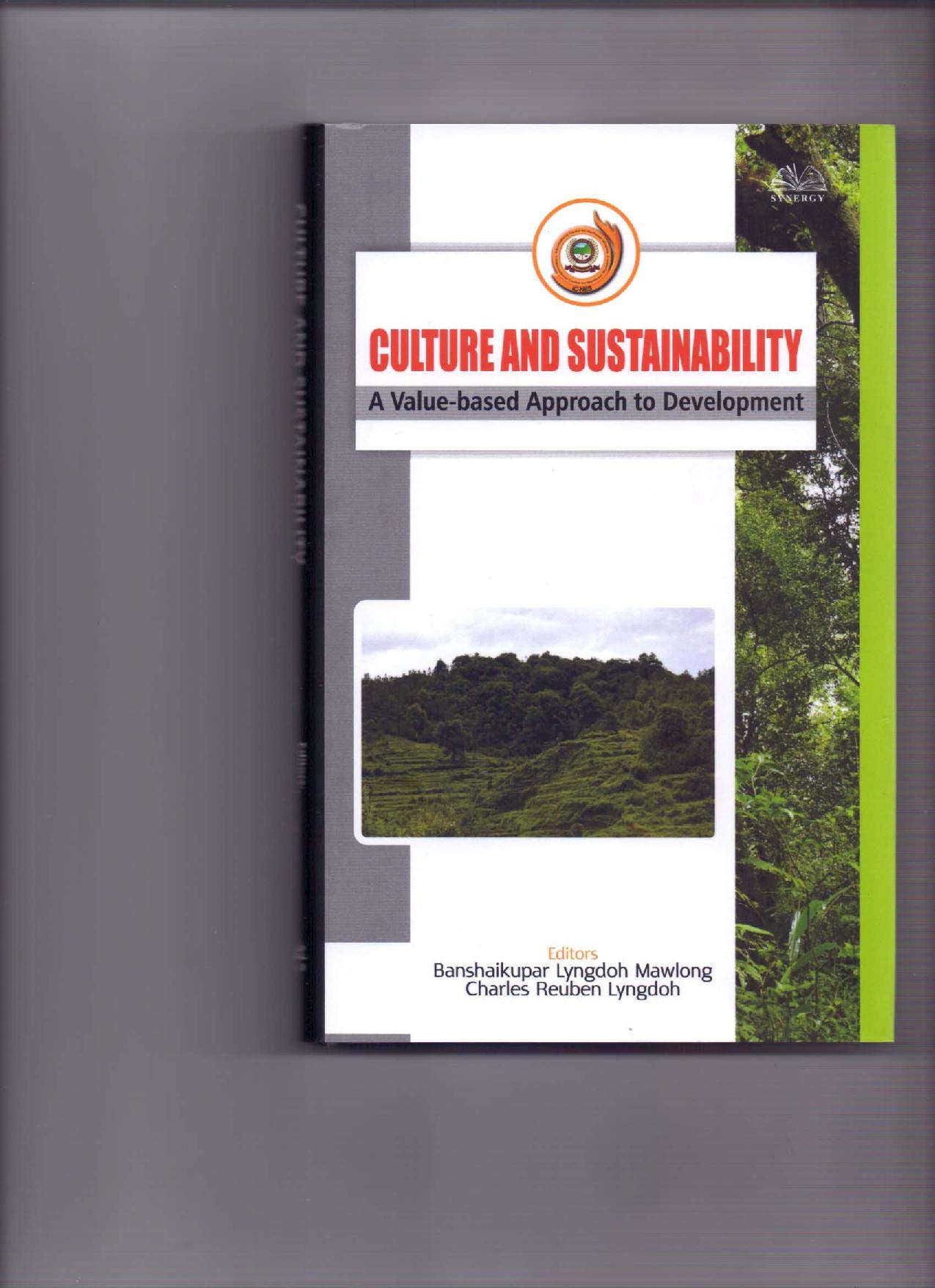 Culture And Sustainability : A VAluebased Approach to Development