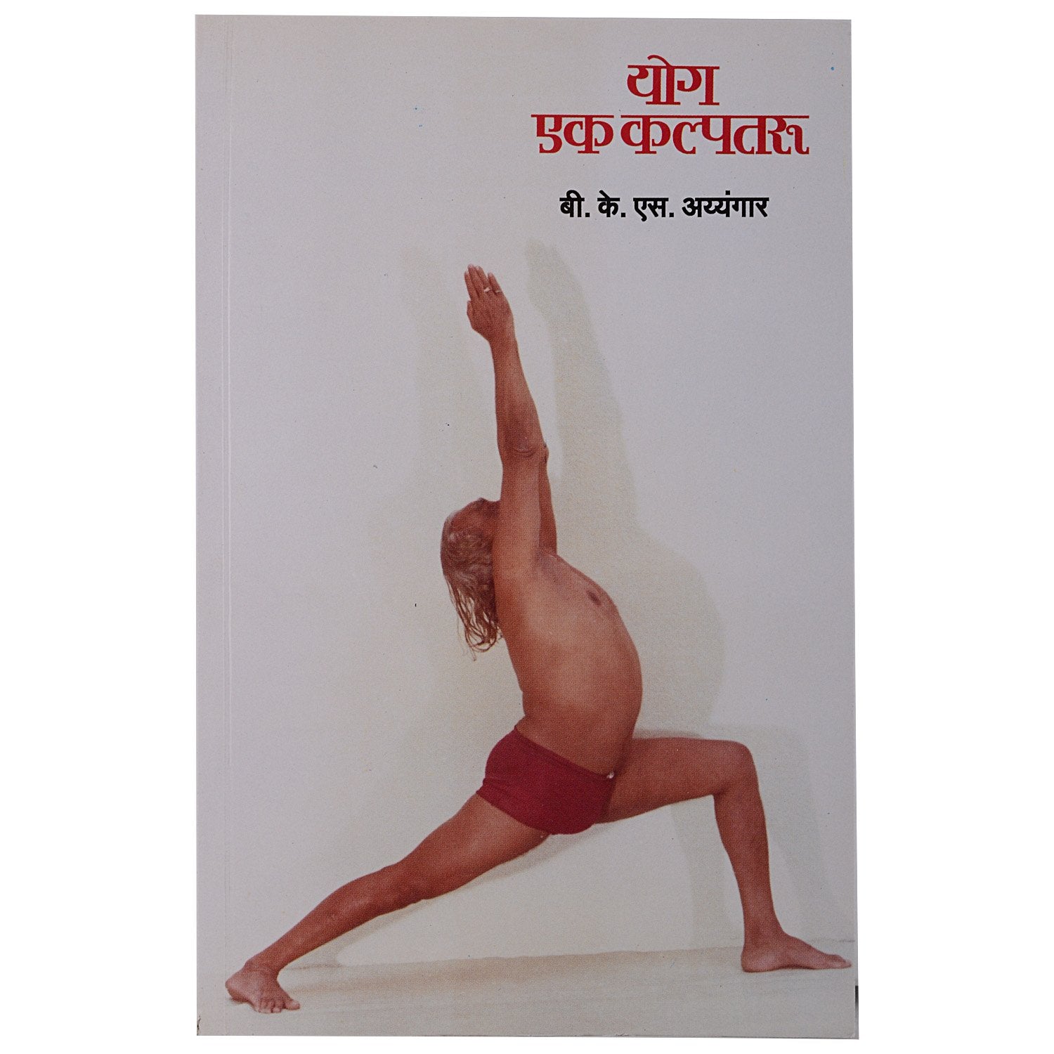Yoga Ek Kalpataru