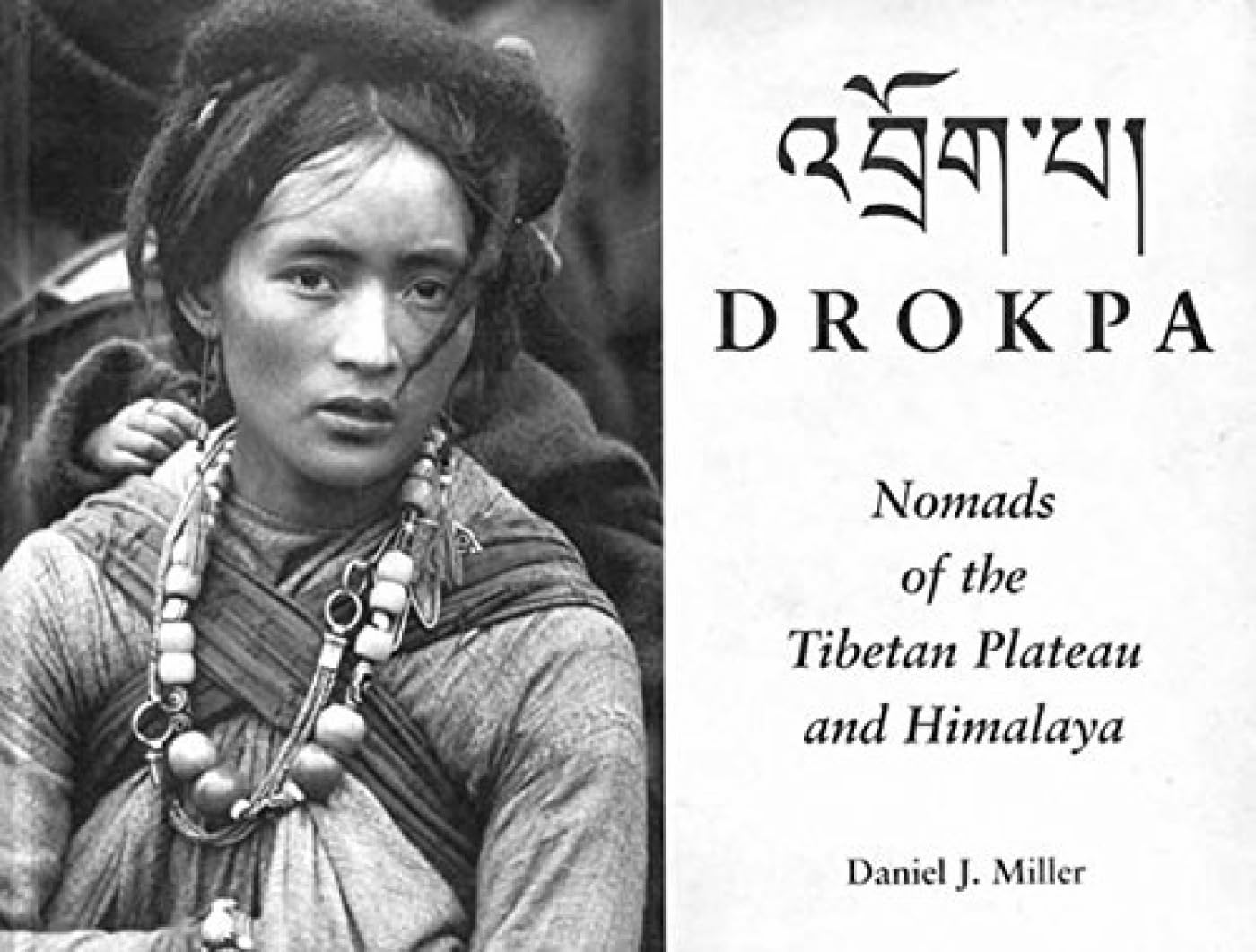 Drokpa: Nomads of the Tibetan Plateau and Himalaya