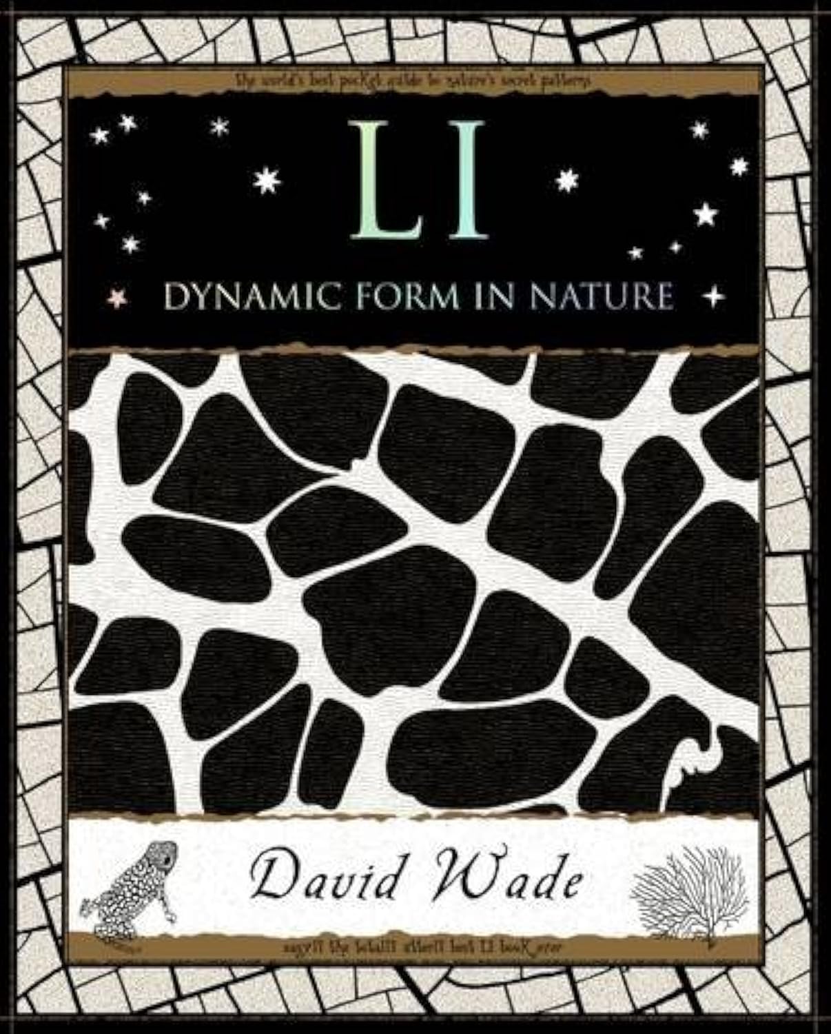 Li: Dynamic Form In Nature Wade, David (Mathemagical Ancient Wizdom)