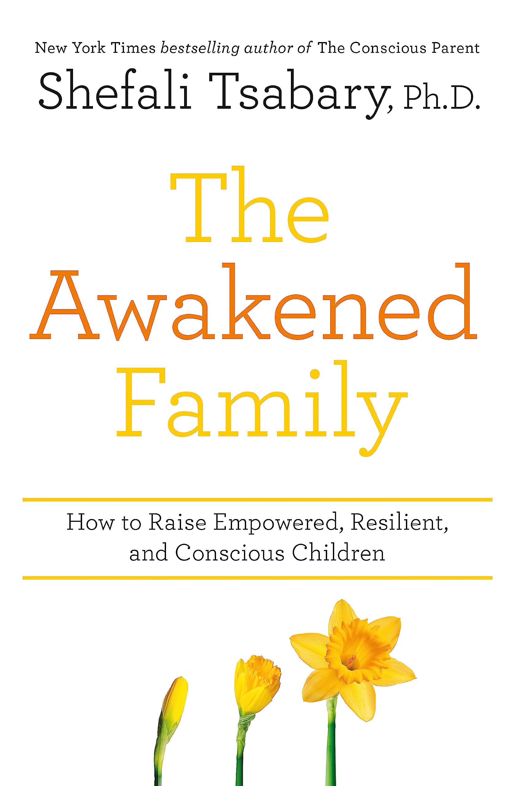 THE AWAKENED FAMILY: A REVOLUTION IN PARENTING