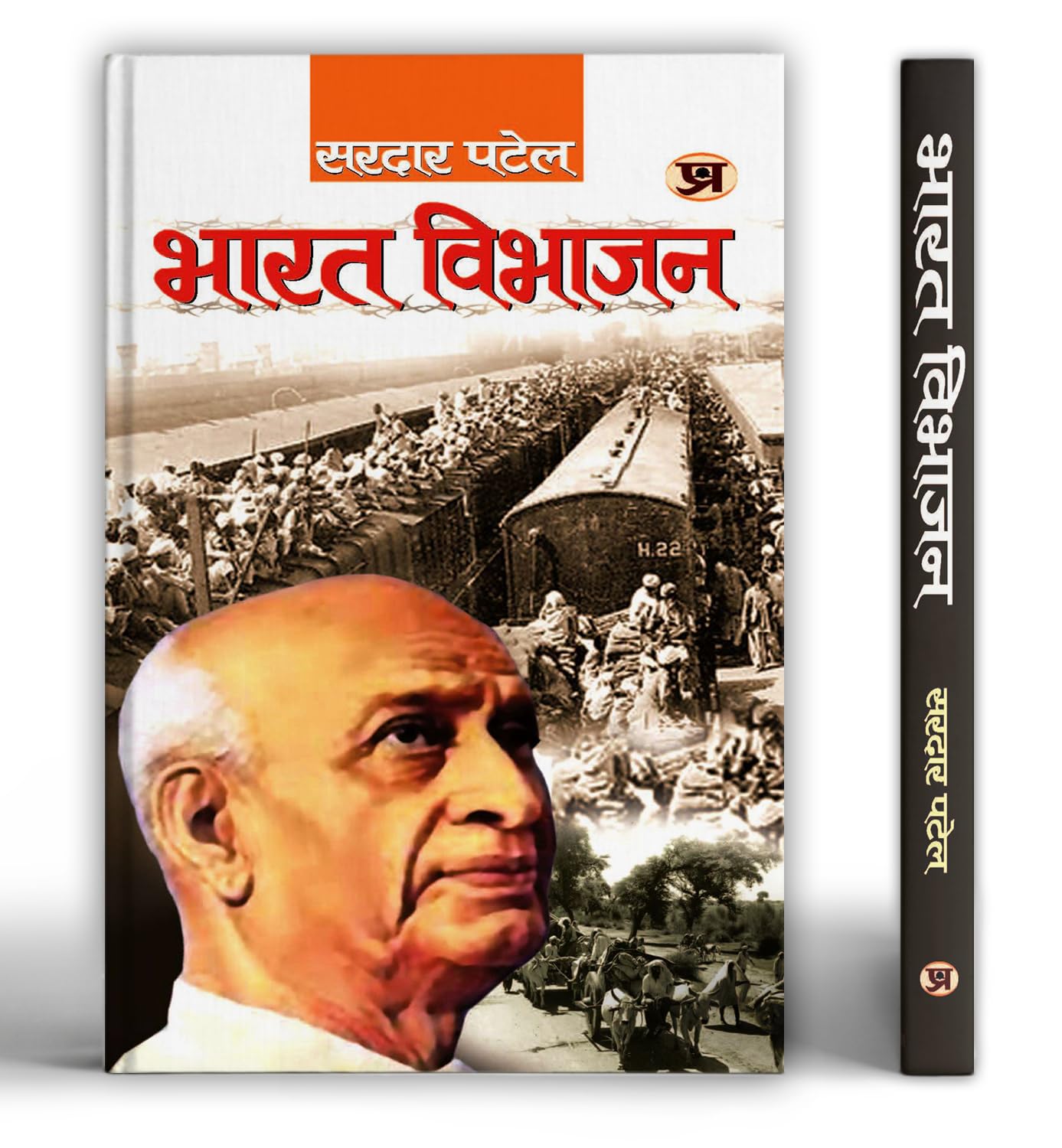 Bharat Vibhajan (Hindi Edition)