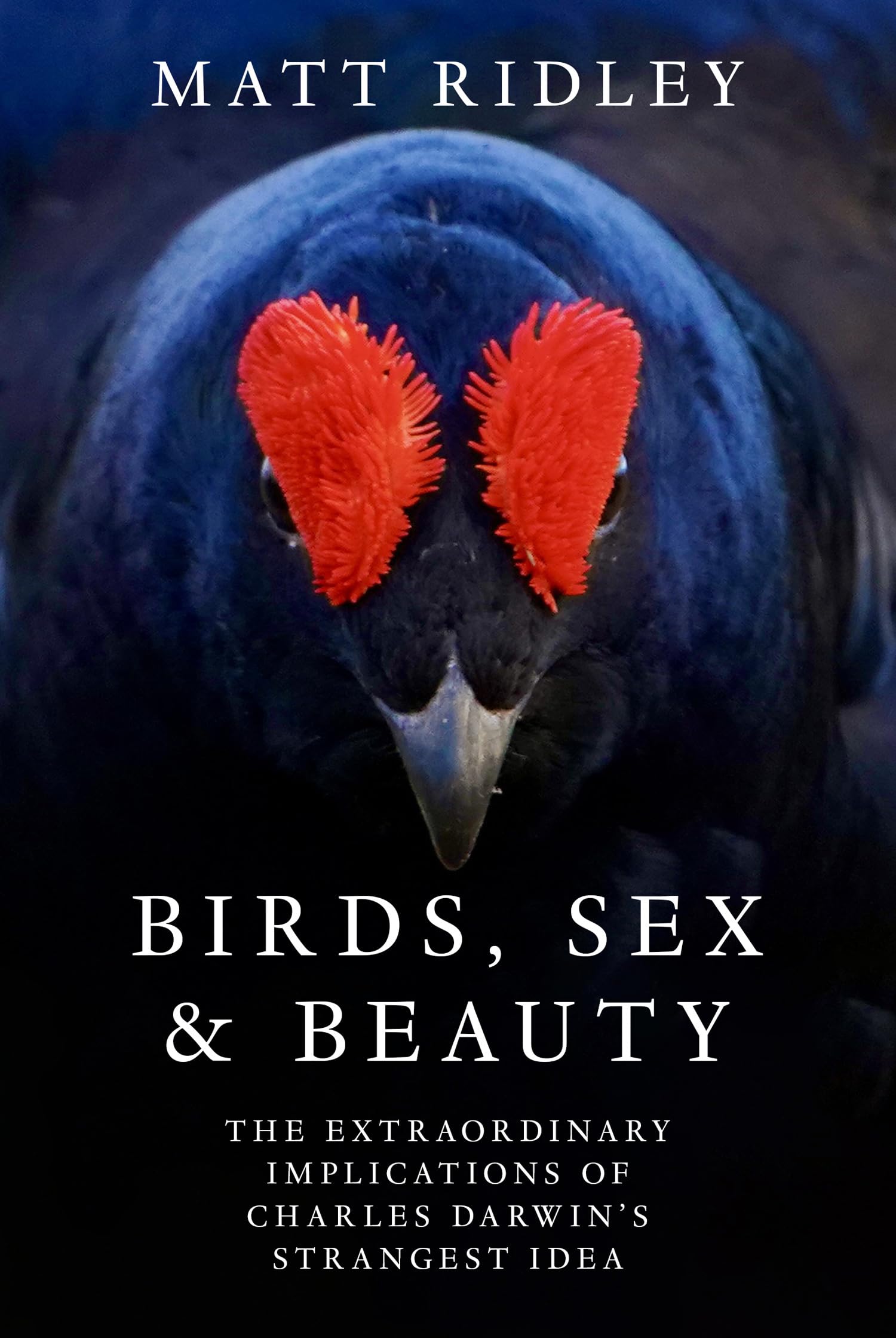 Birds, Sex and Beauty : The extraordinary implications of Charles Darwins strangest idea