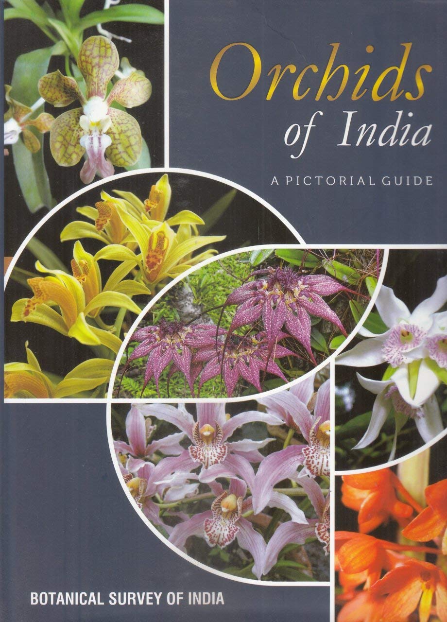 Orchids Of India: A Pictorial Guide