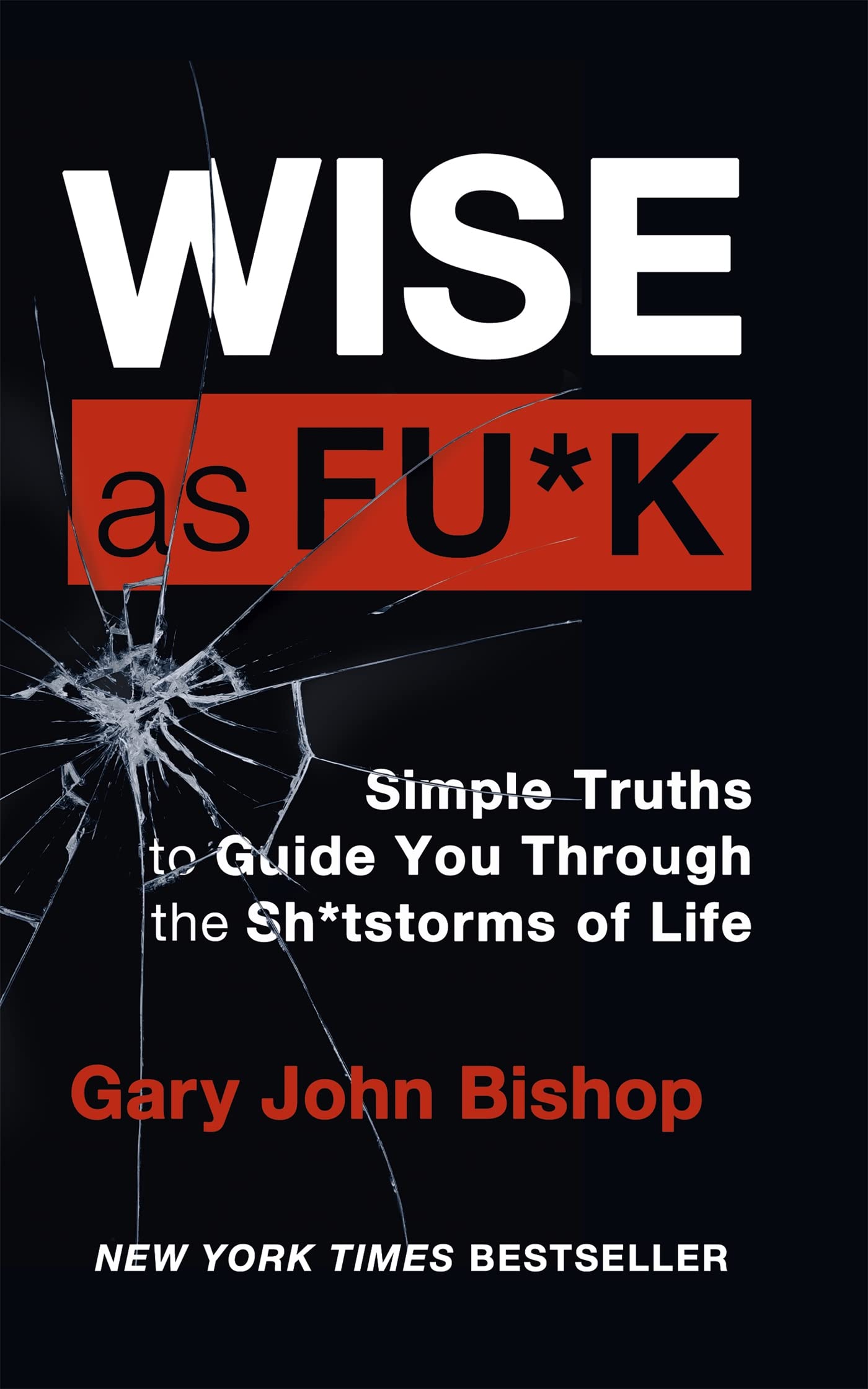 WISE AS F*CK: SIMPLE TRUTHS TO GUIDE YOU THROUGH THE SH*TSTORMS IN LIFE