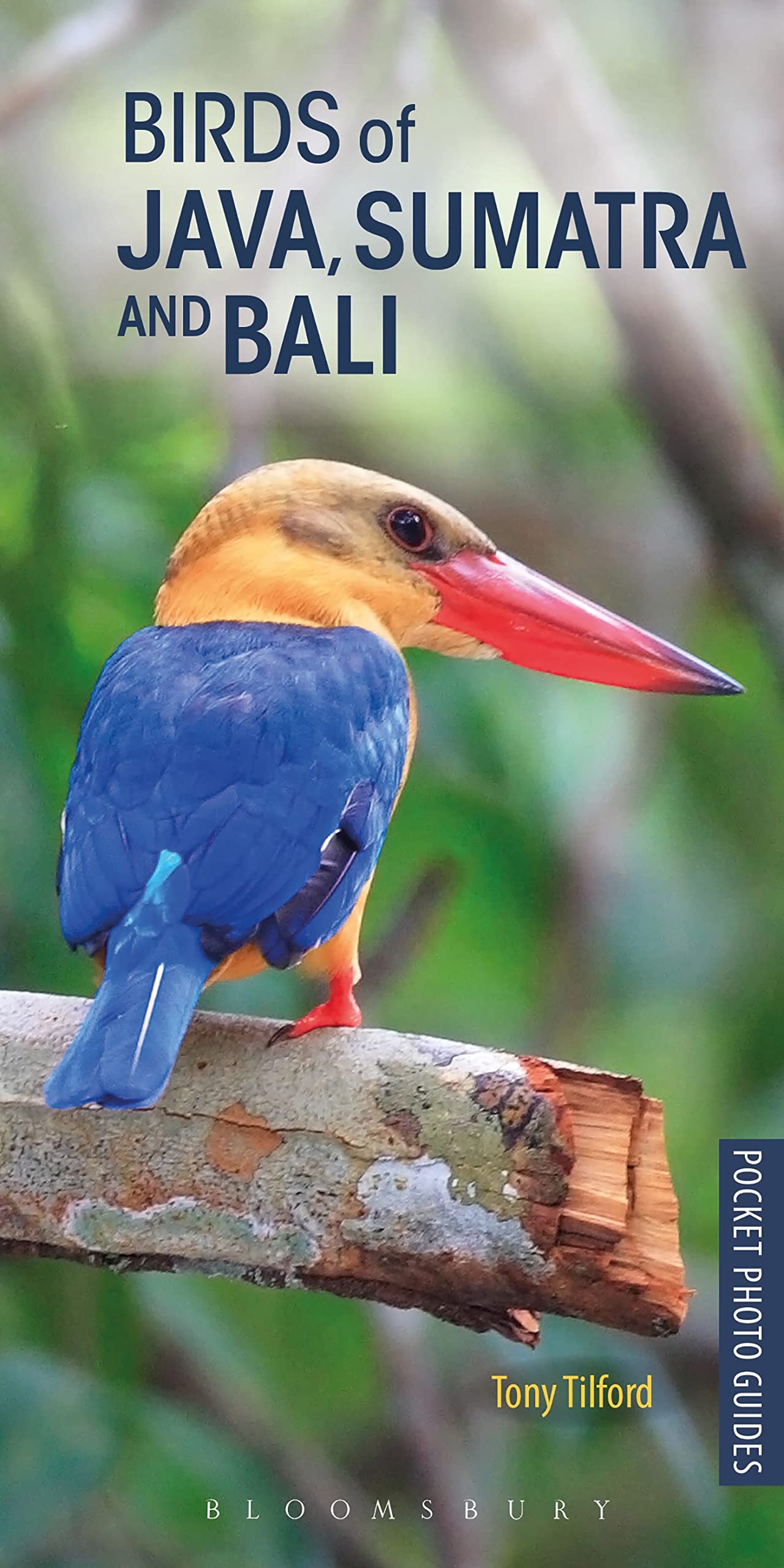 Birds Of Java, Sumatra And Bali (Pocket Photo Guides)