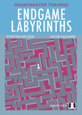 Endgame Labyrinths (Grandmaster Training)