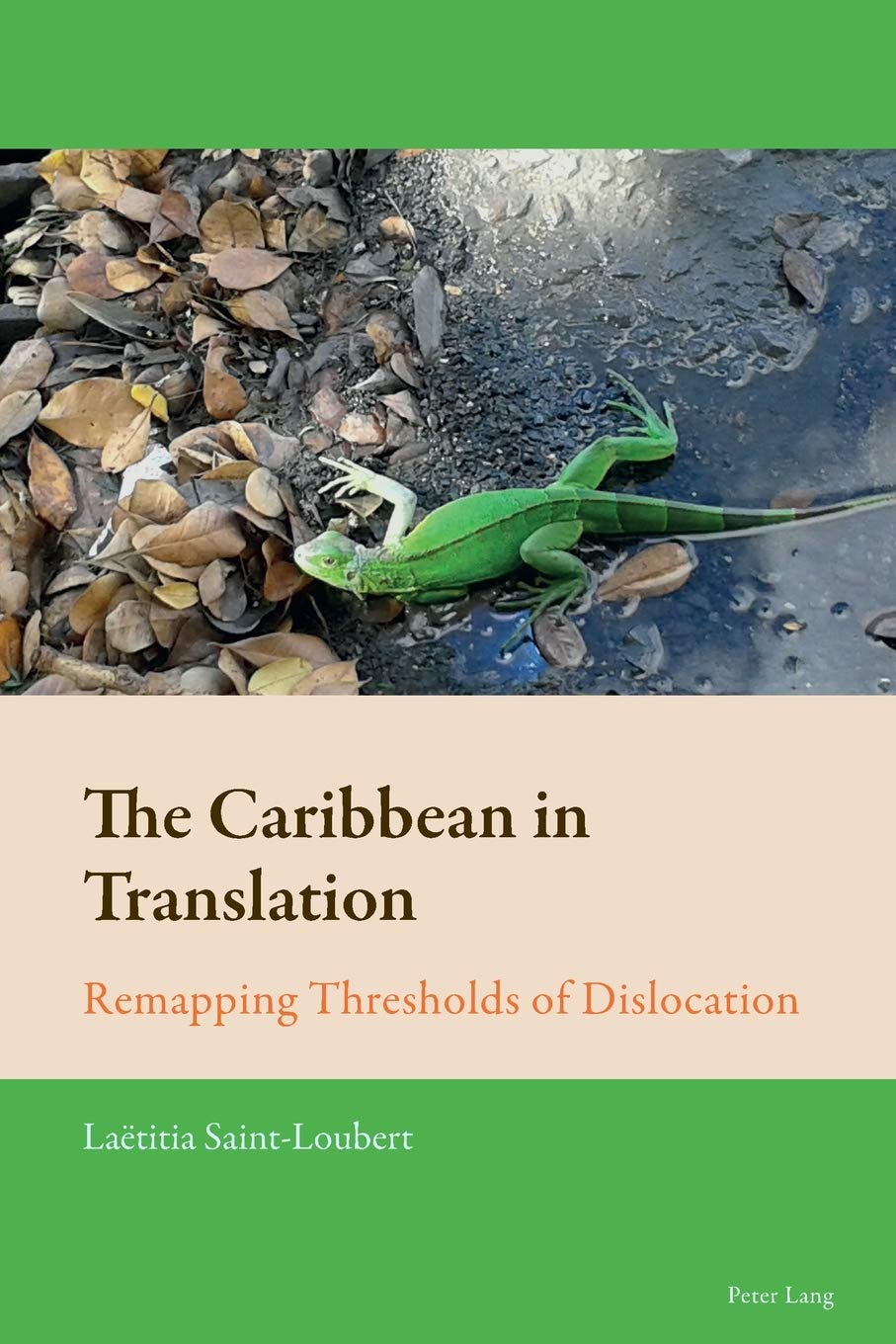The Caribbean in Translation: Remapping Thresholds of Dislocation: 8 (New Comparative Criticism)
