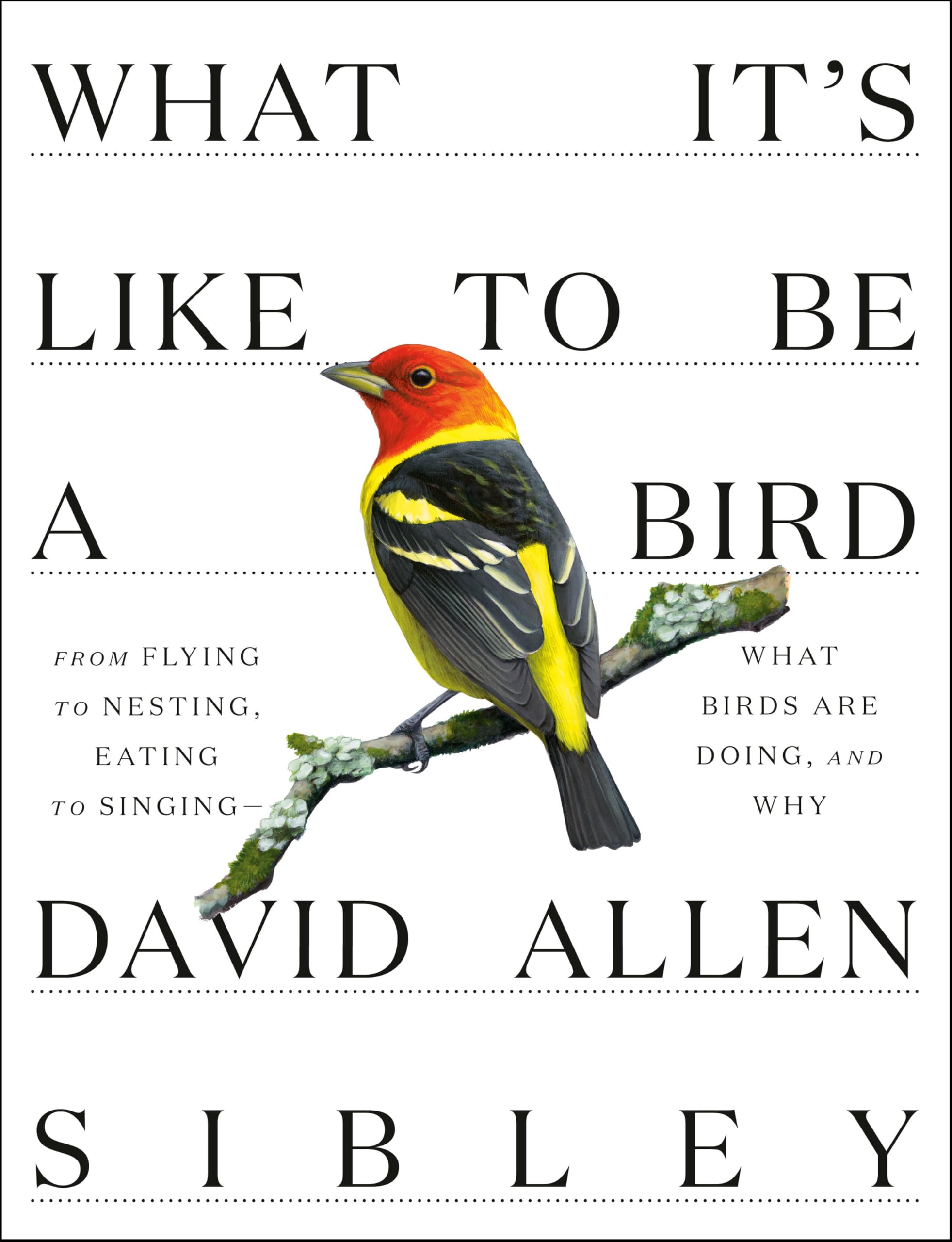 What Its Like to Be a Bird: From Flying to Nesting, Eating to SingingWhat Birds Are Doing, and Why (Sibley Guides)