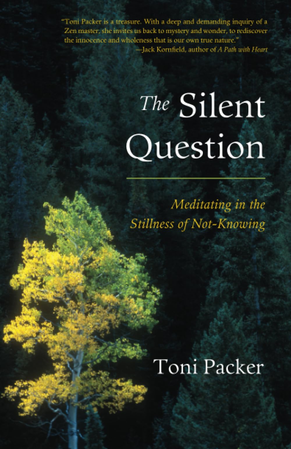 The Silent Question: Meditating in the Stillness of NotKnowing