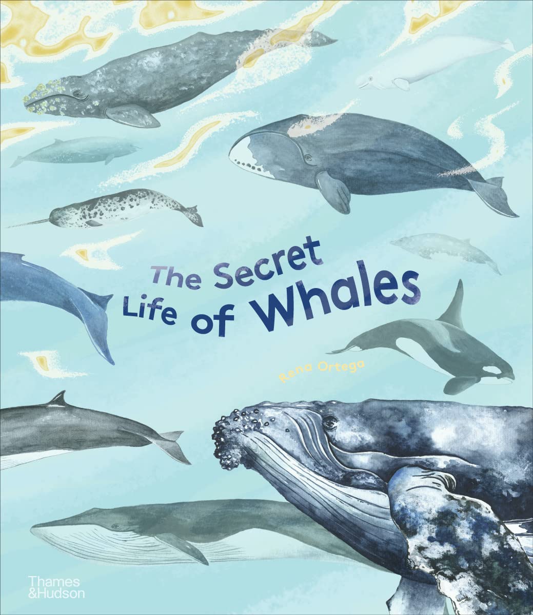 The Secret Life of Whales (The Secret Life of...Series)