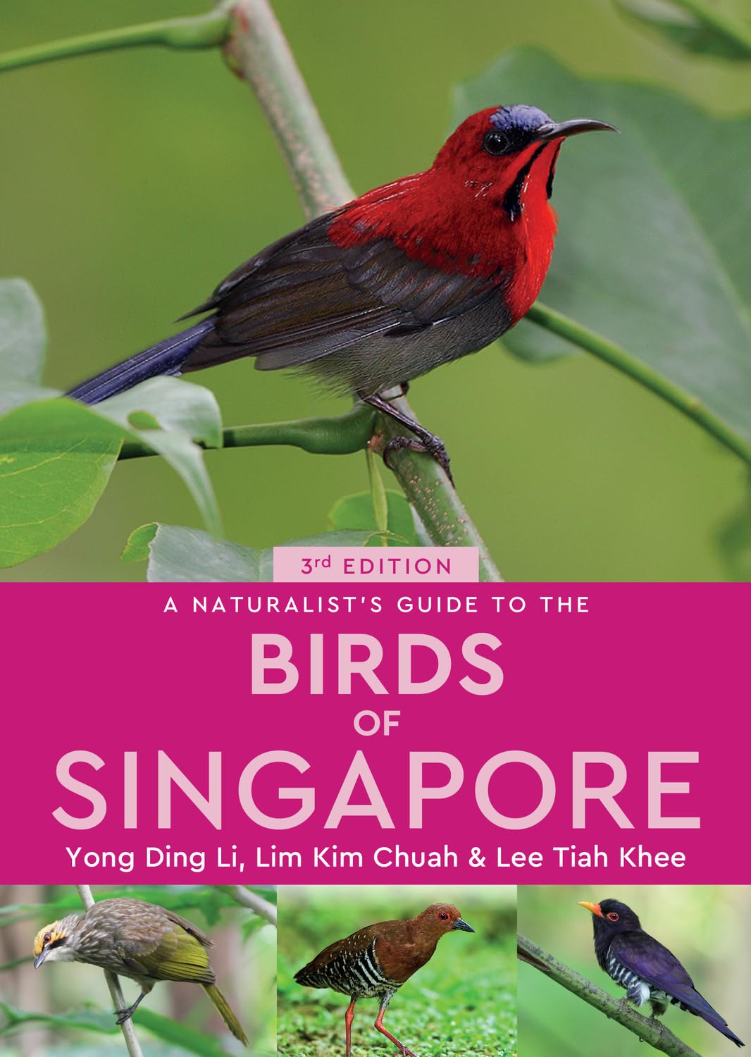 A Naturalists Guide to the Birds of Singapore (Naturalists Guides)