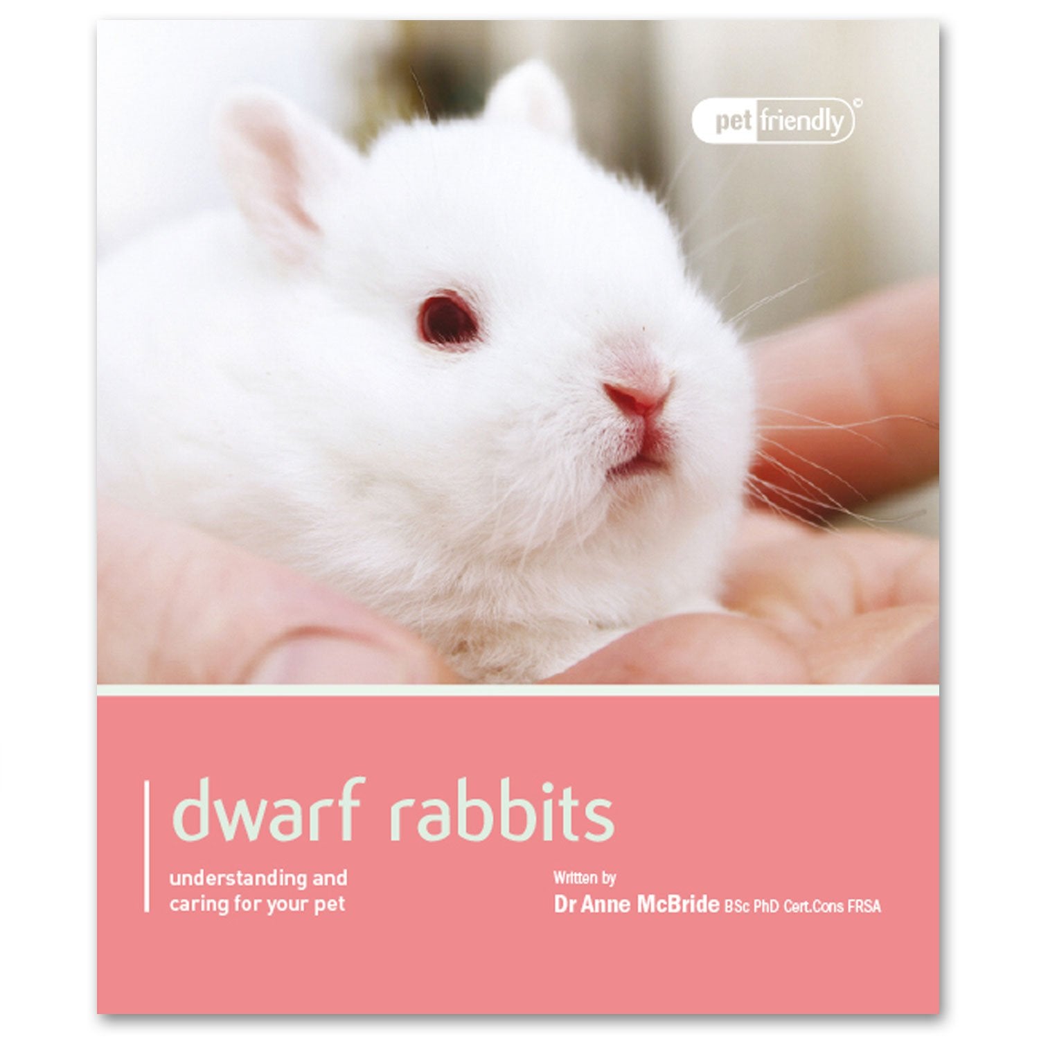 Dwarf & Mini Rabbits. (Pet Friendly)