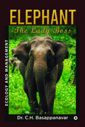 ElephantThe Lady Boss