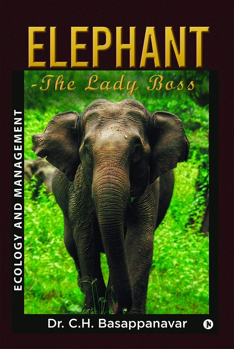 ElephantThe Lady Boss