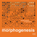 Morphogenesis: The Indian Perspective. The Global Context (The Master Architect Series)