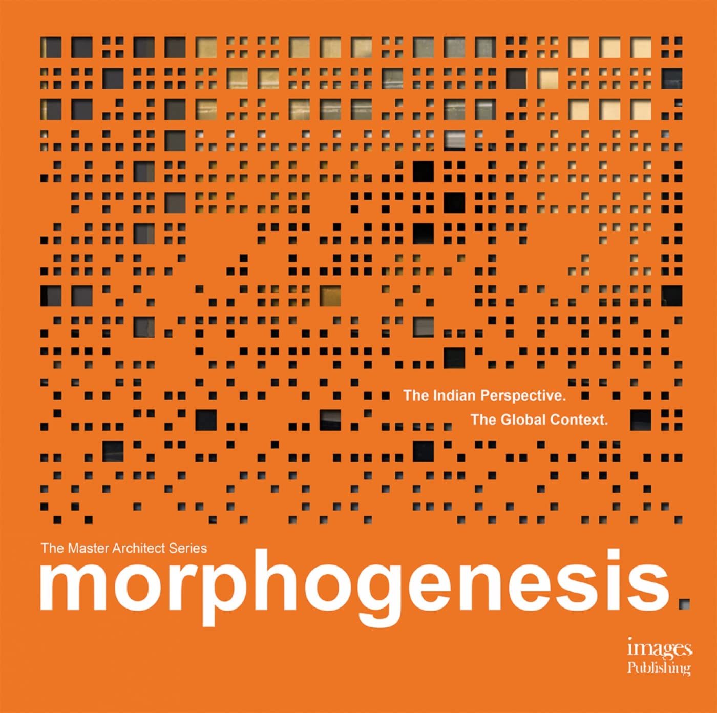 Morphogenesis: The Indian Perspective. The Global Context (The Master Architect Series)